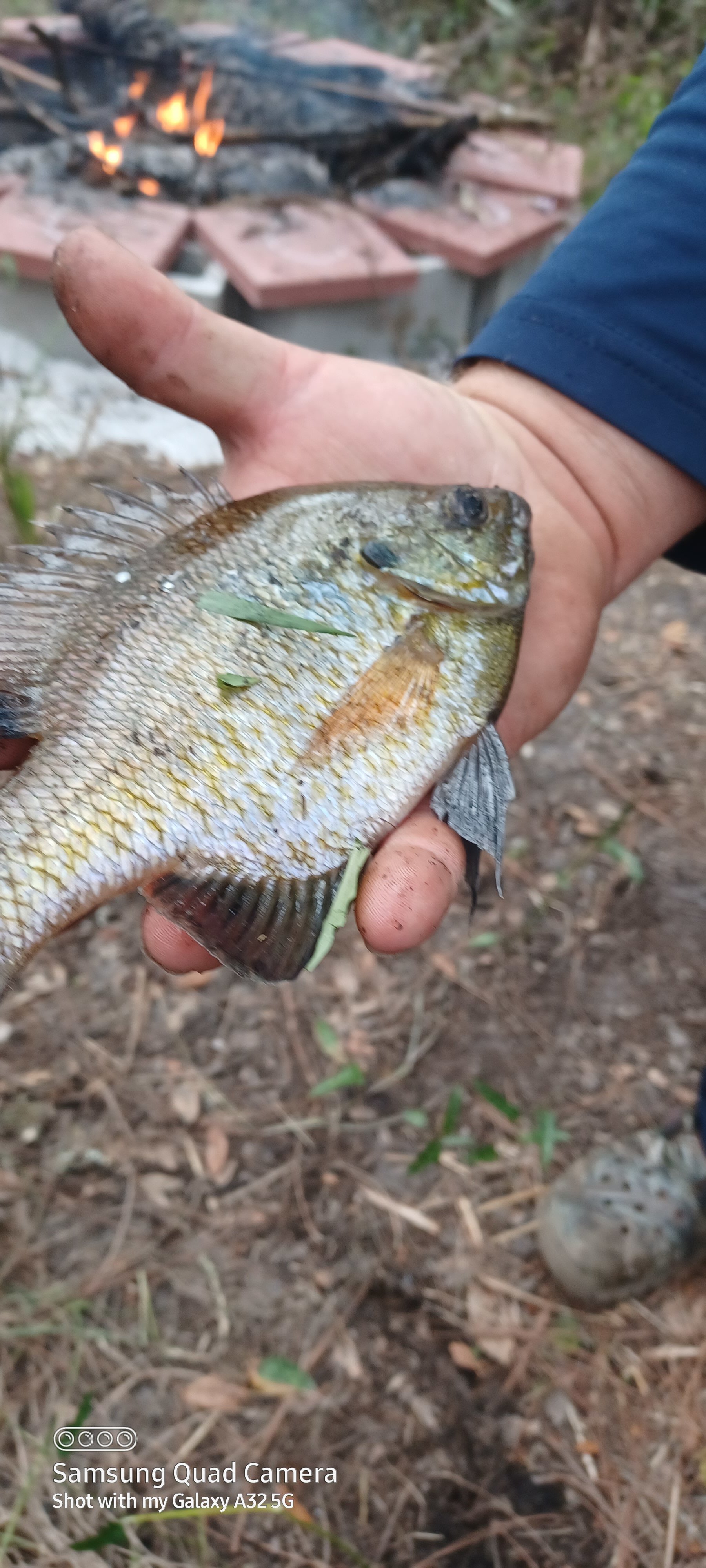 Sandy Bottom River Retreat