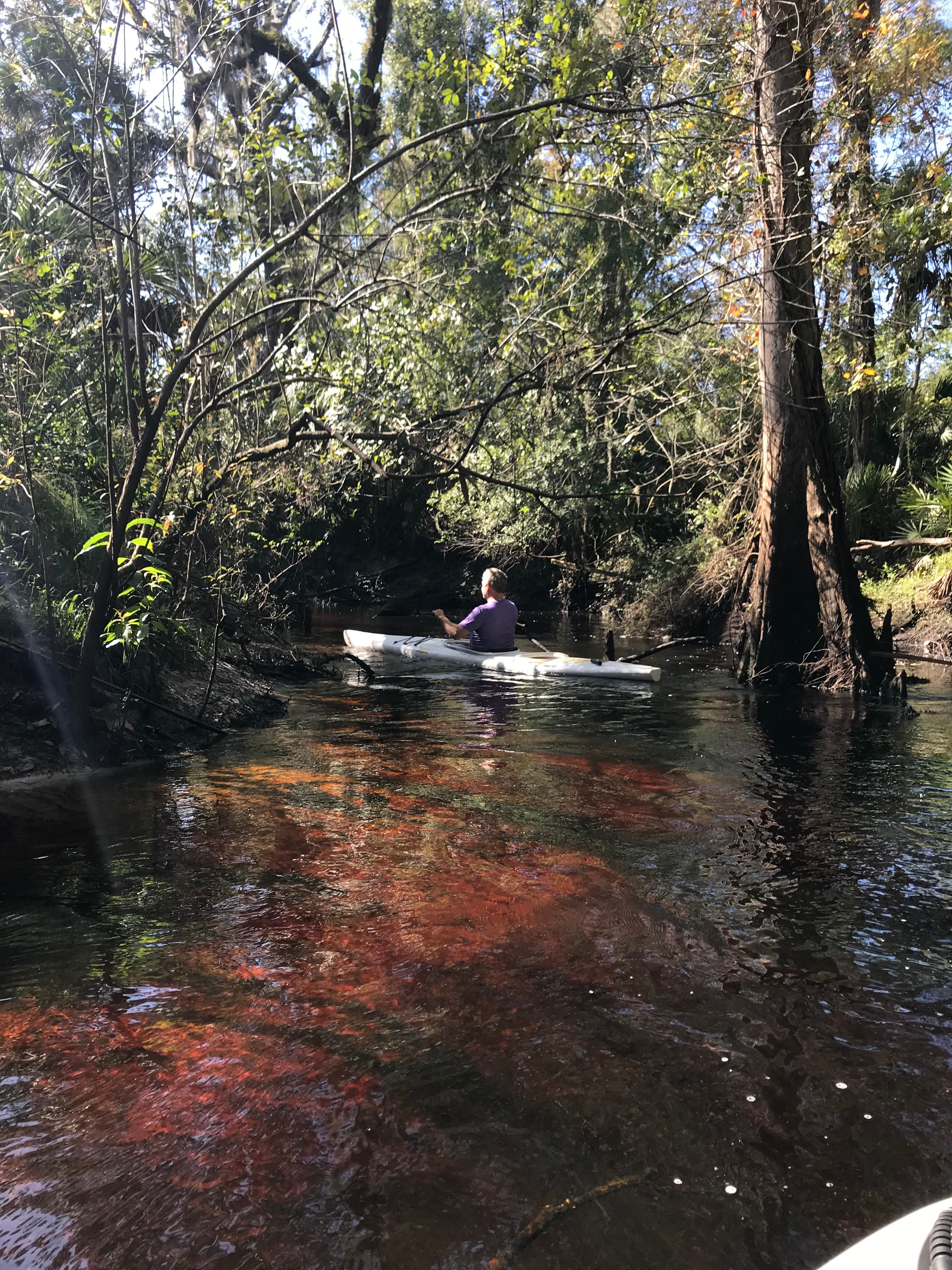 Cotee River Bend