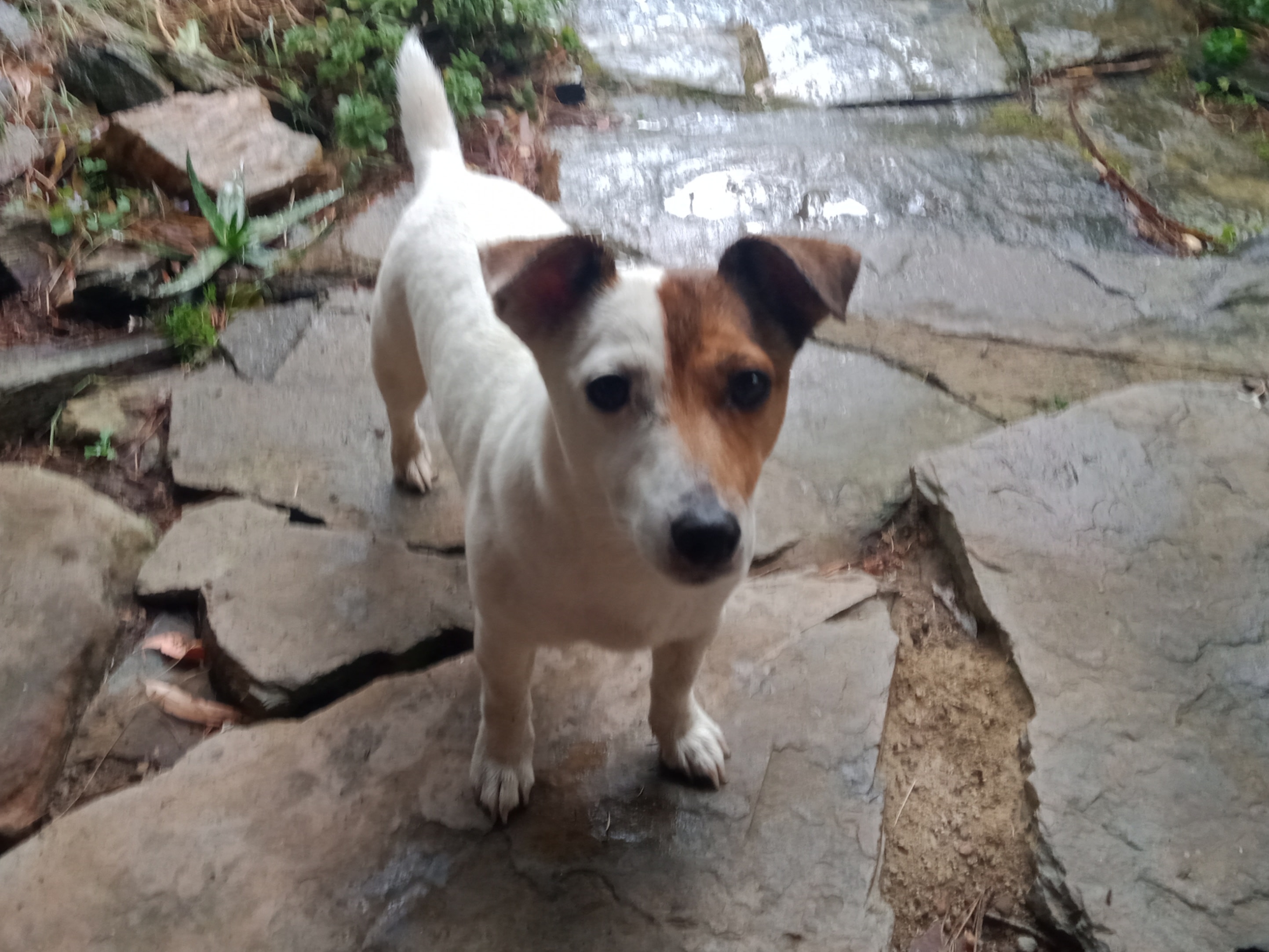 Rustic Miner’s Cabin