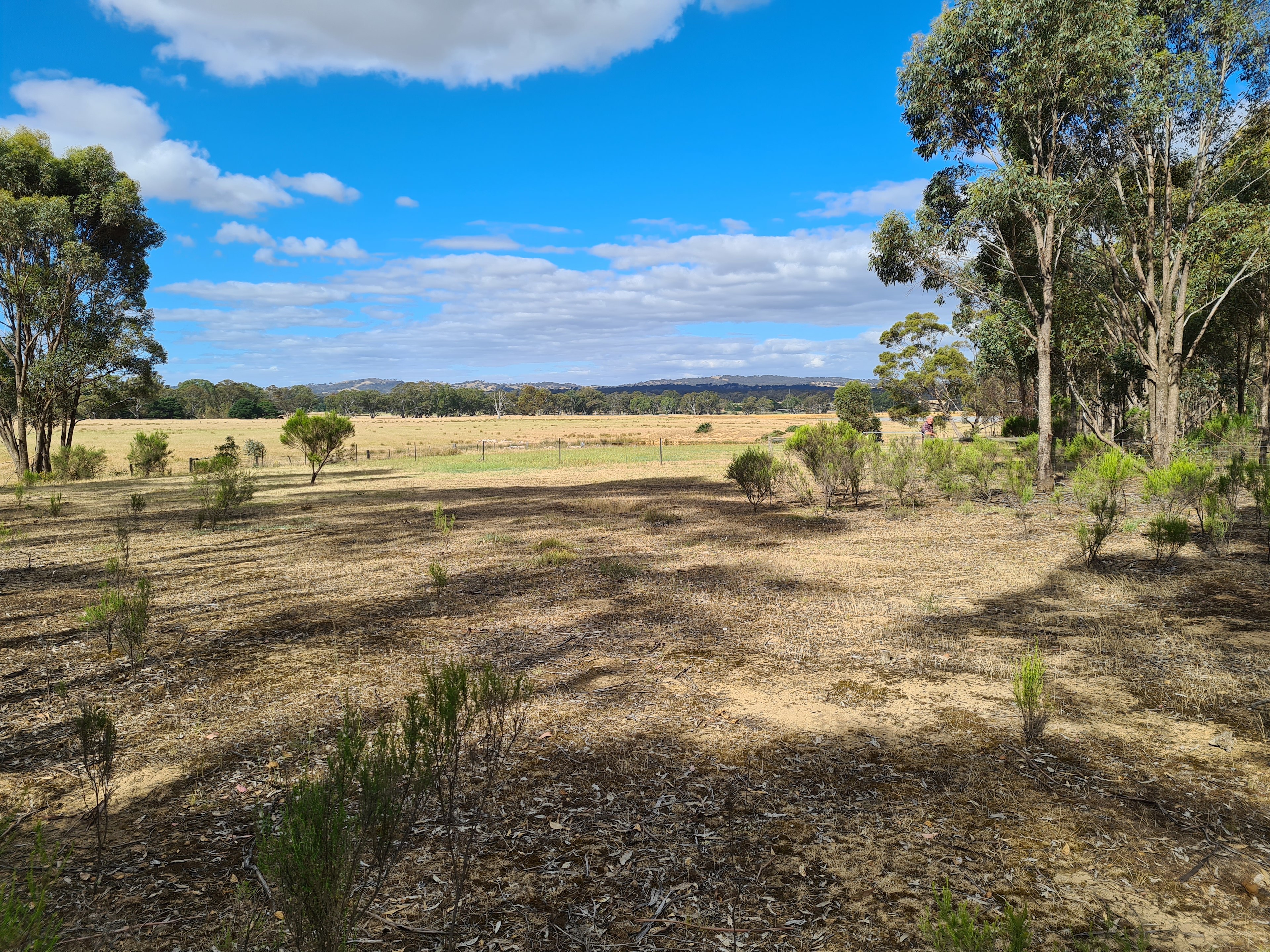 Mountain and farm view
