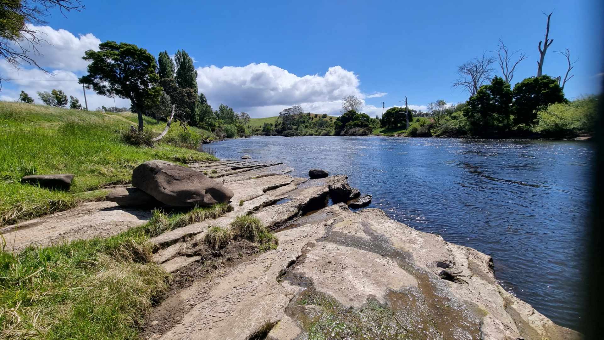 Ryelands Farm & Vineyard