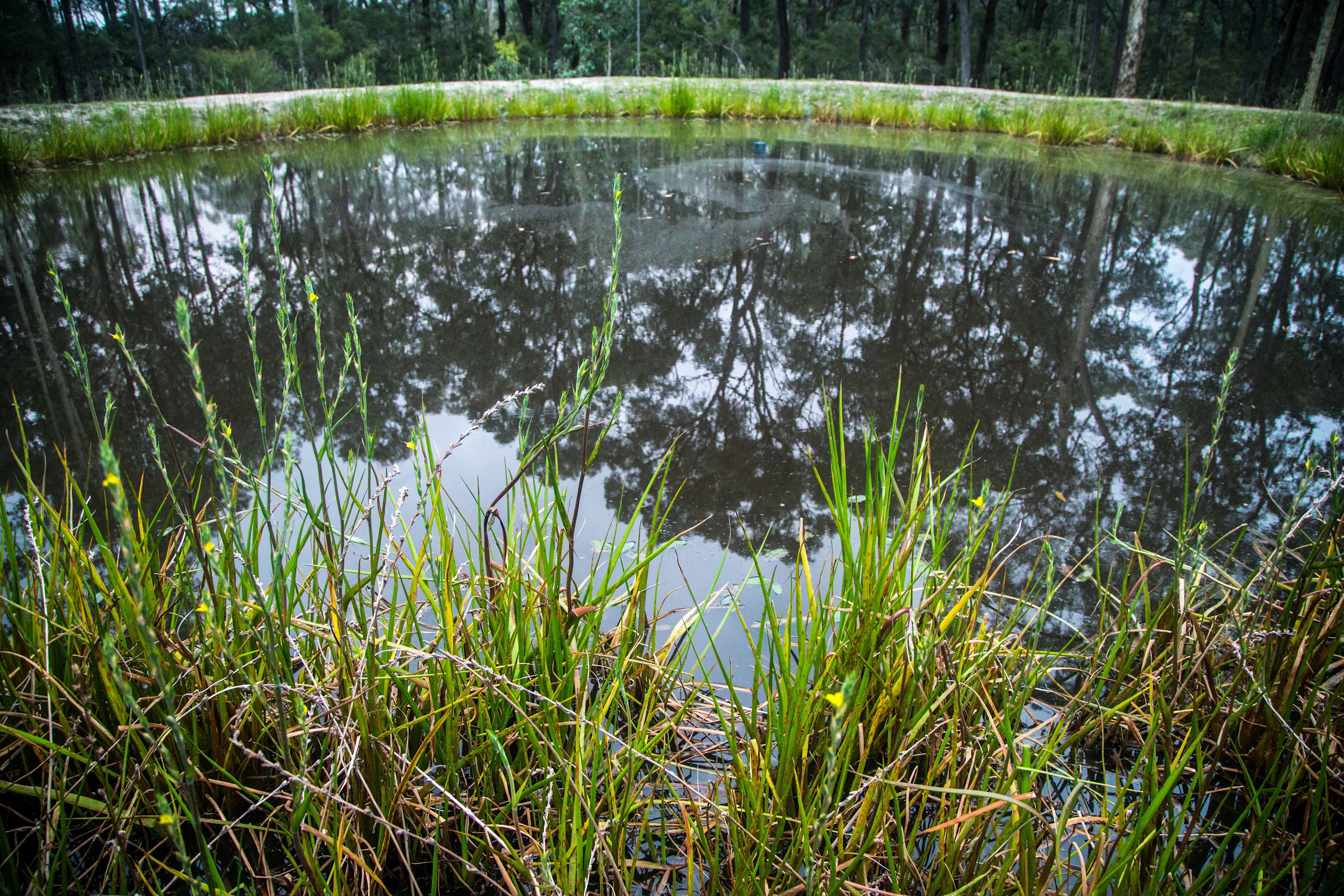 Buchanan Creek Retreat