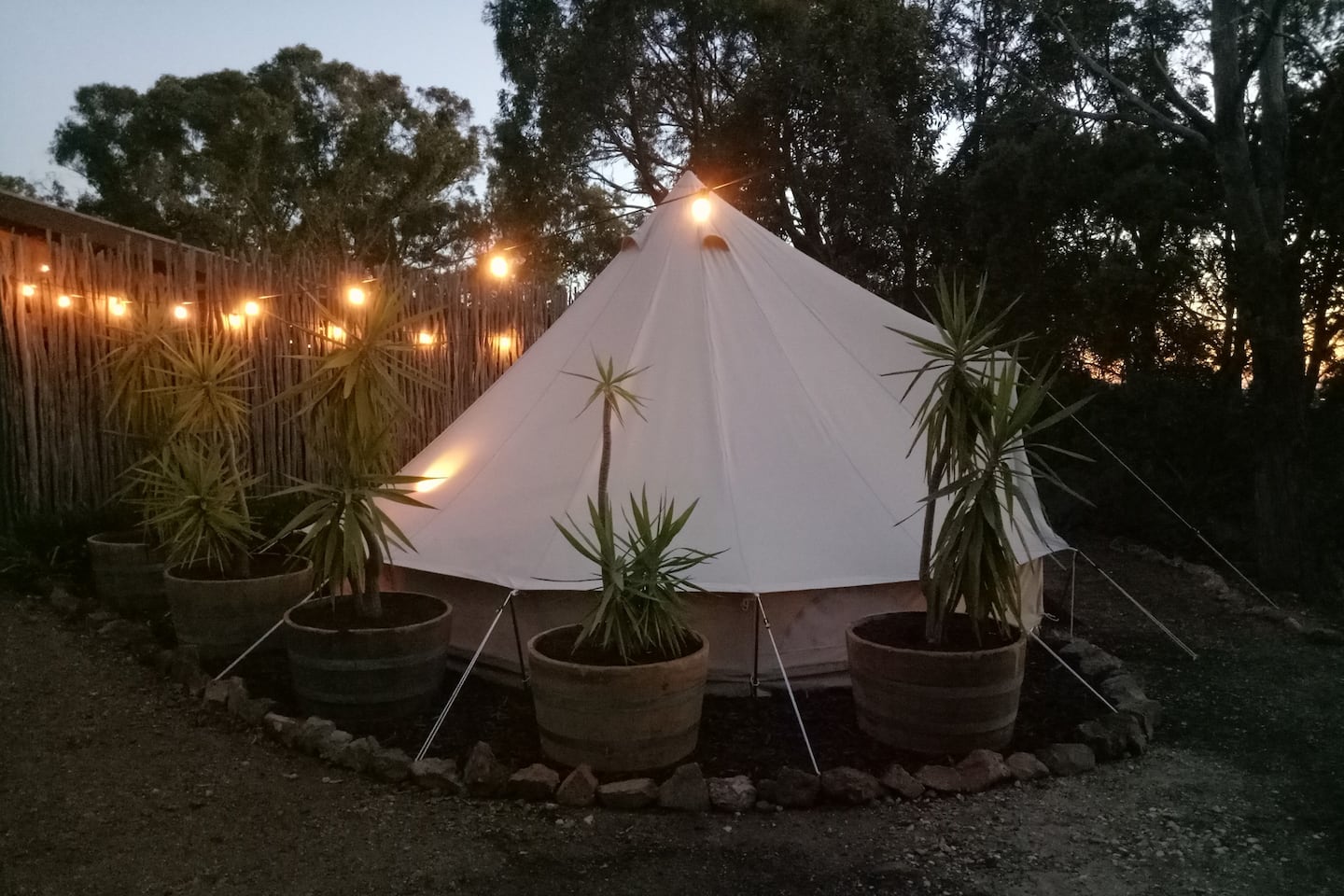 Macedon Ranges Glamping with kangas