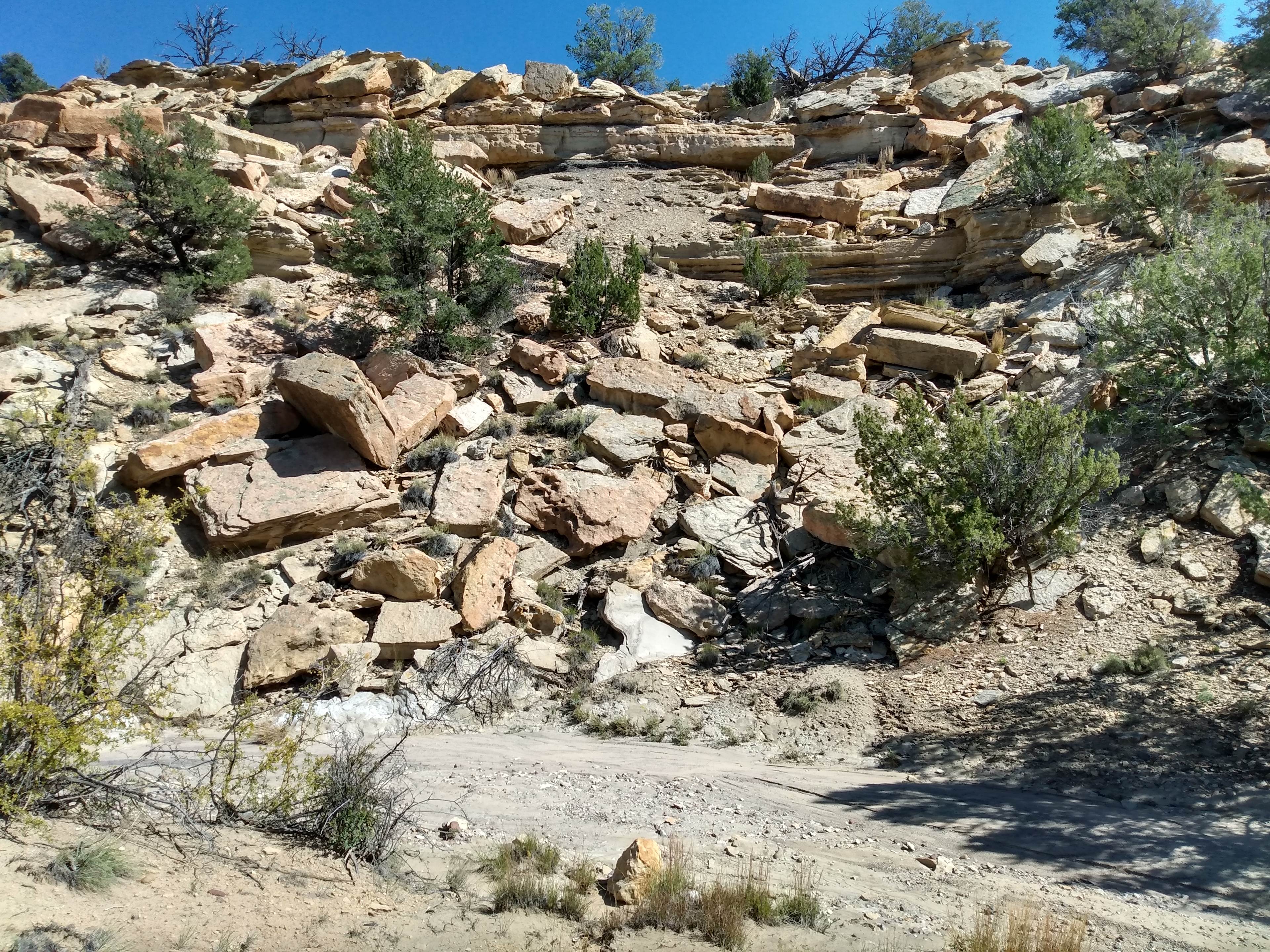 Donald  B.’s Land