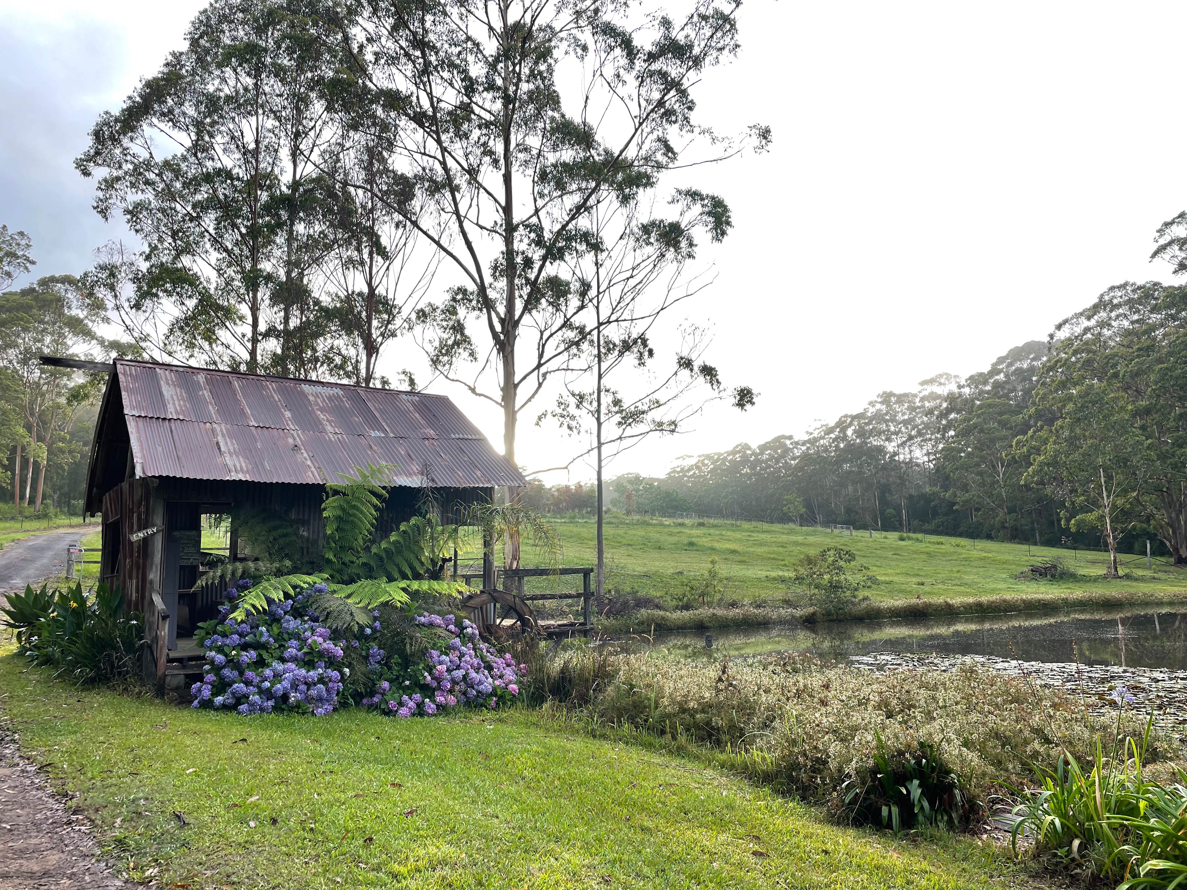 Bucca Valley Blueberries Farmstay