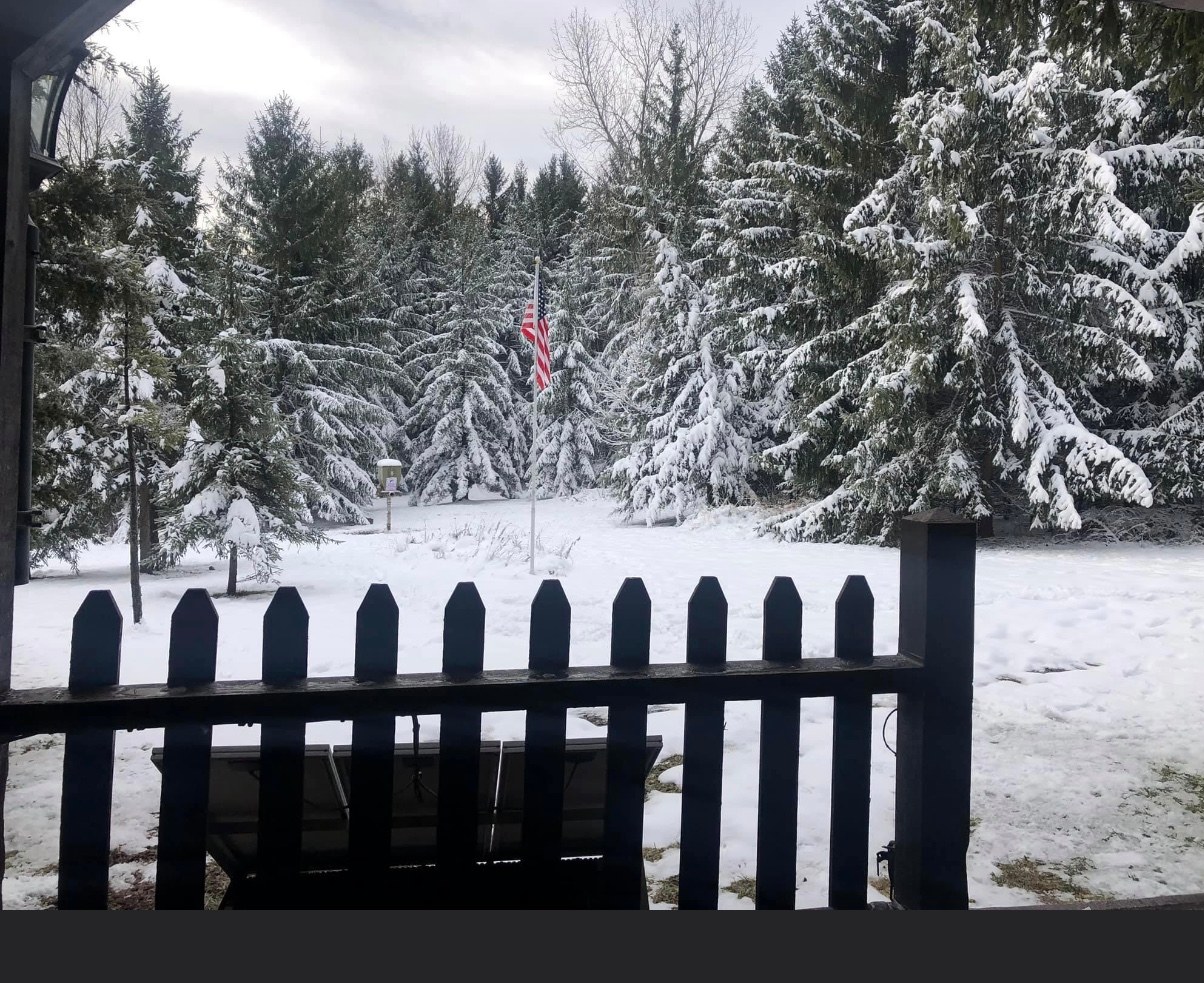 GreyOaks Tree Plantation, woodlands