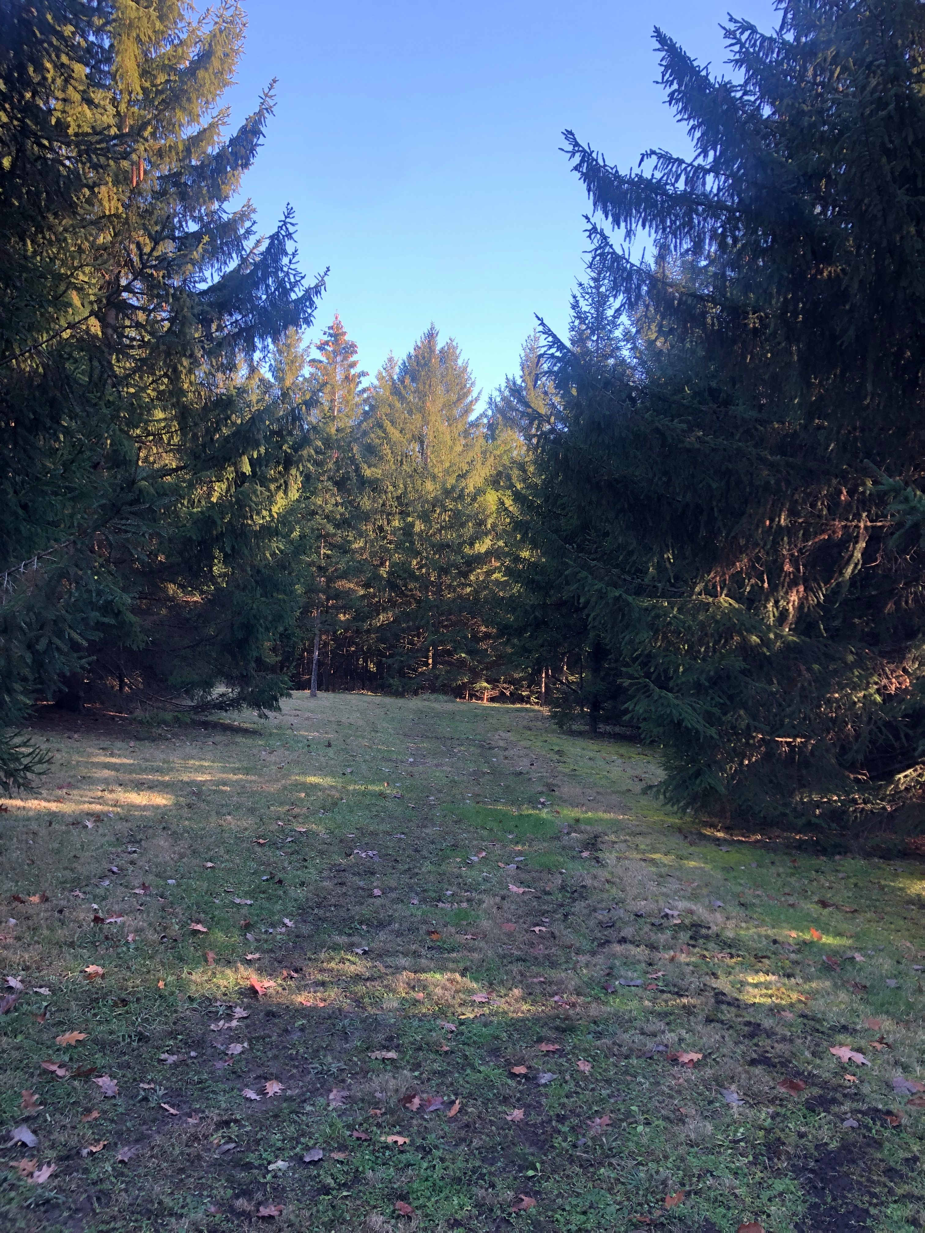 Forested area, and wetlands 