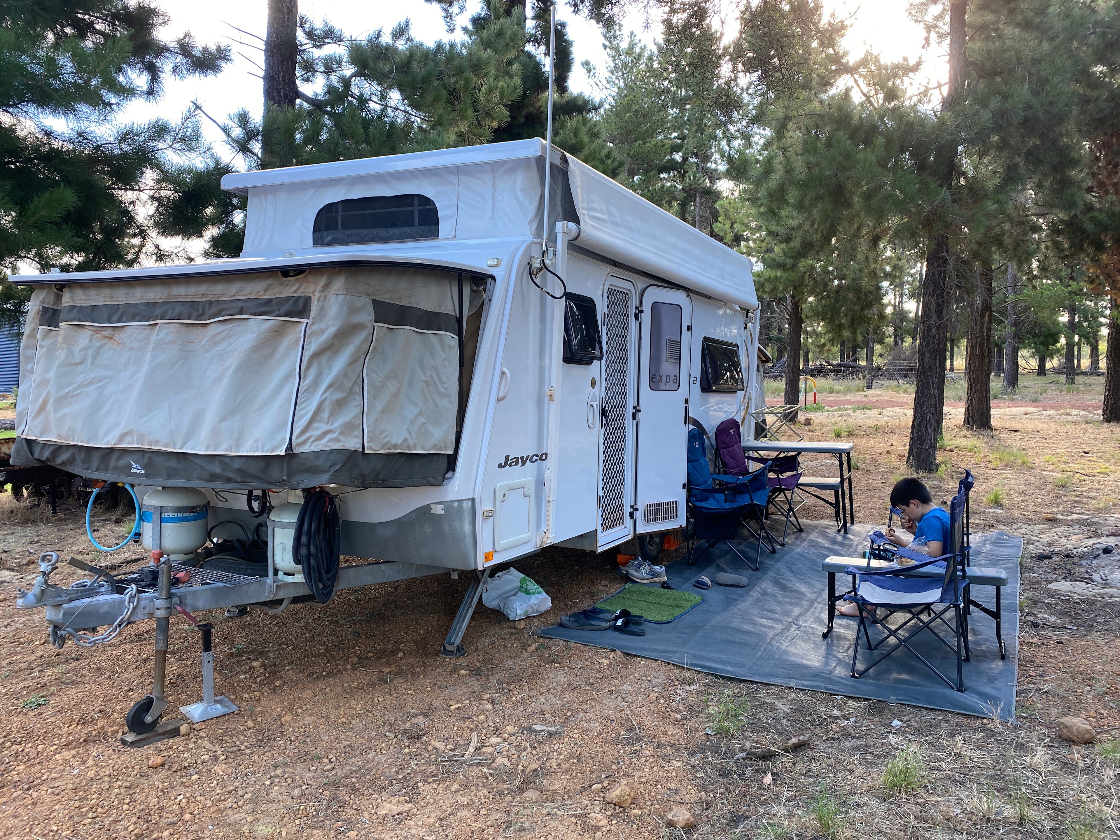 Little Eeden Farm Pine Camp