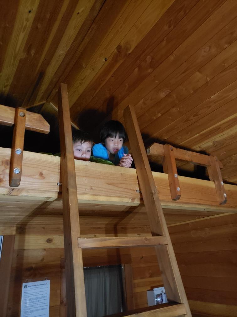 Anza-Borrego Desert State Park