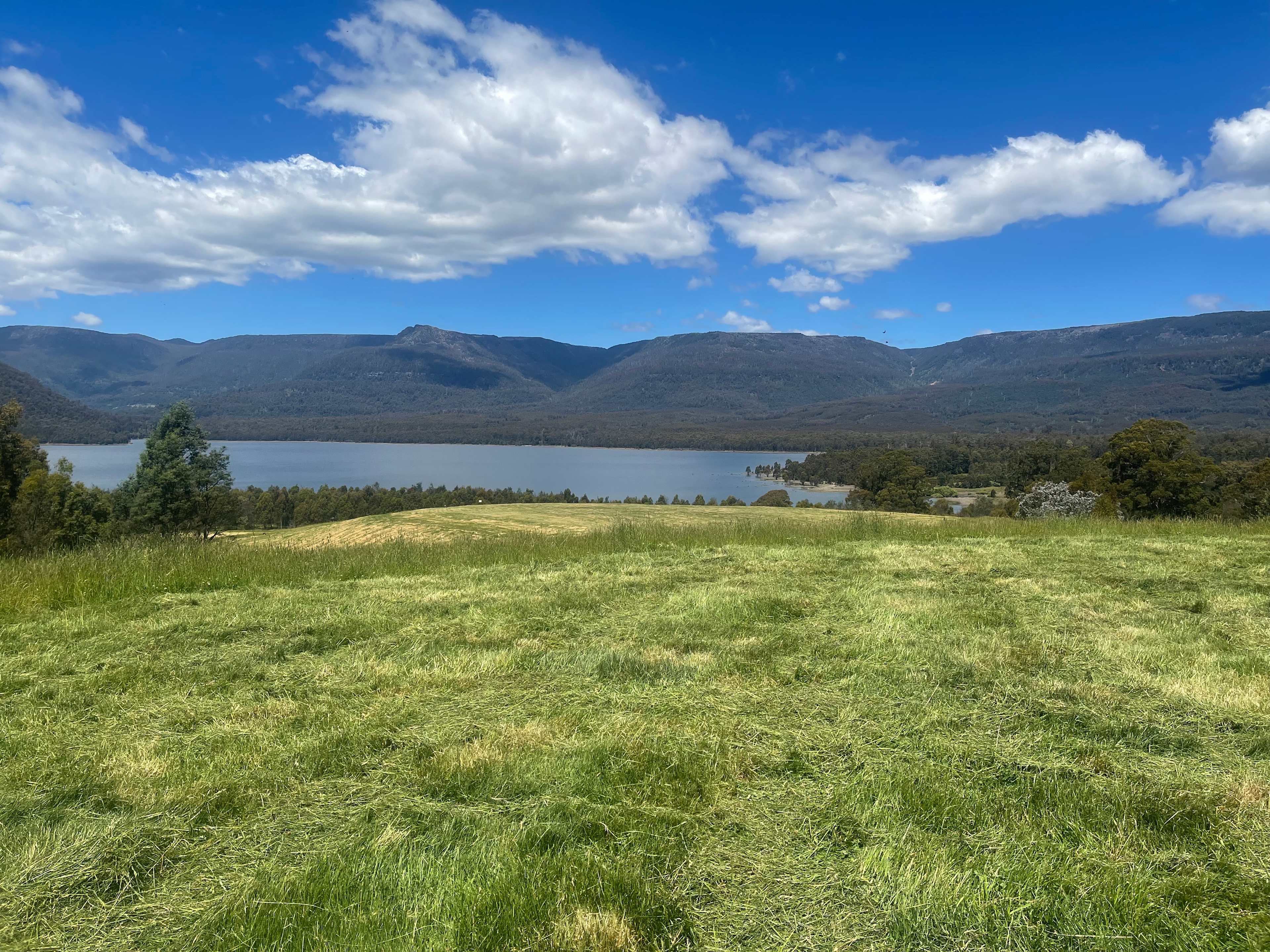 Hill Top Farm Meander Tasmania