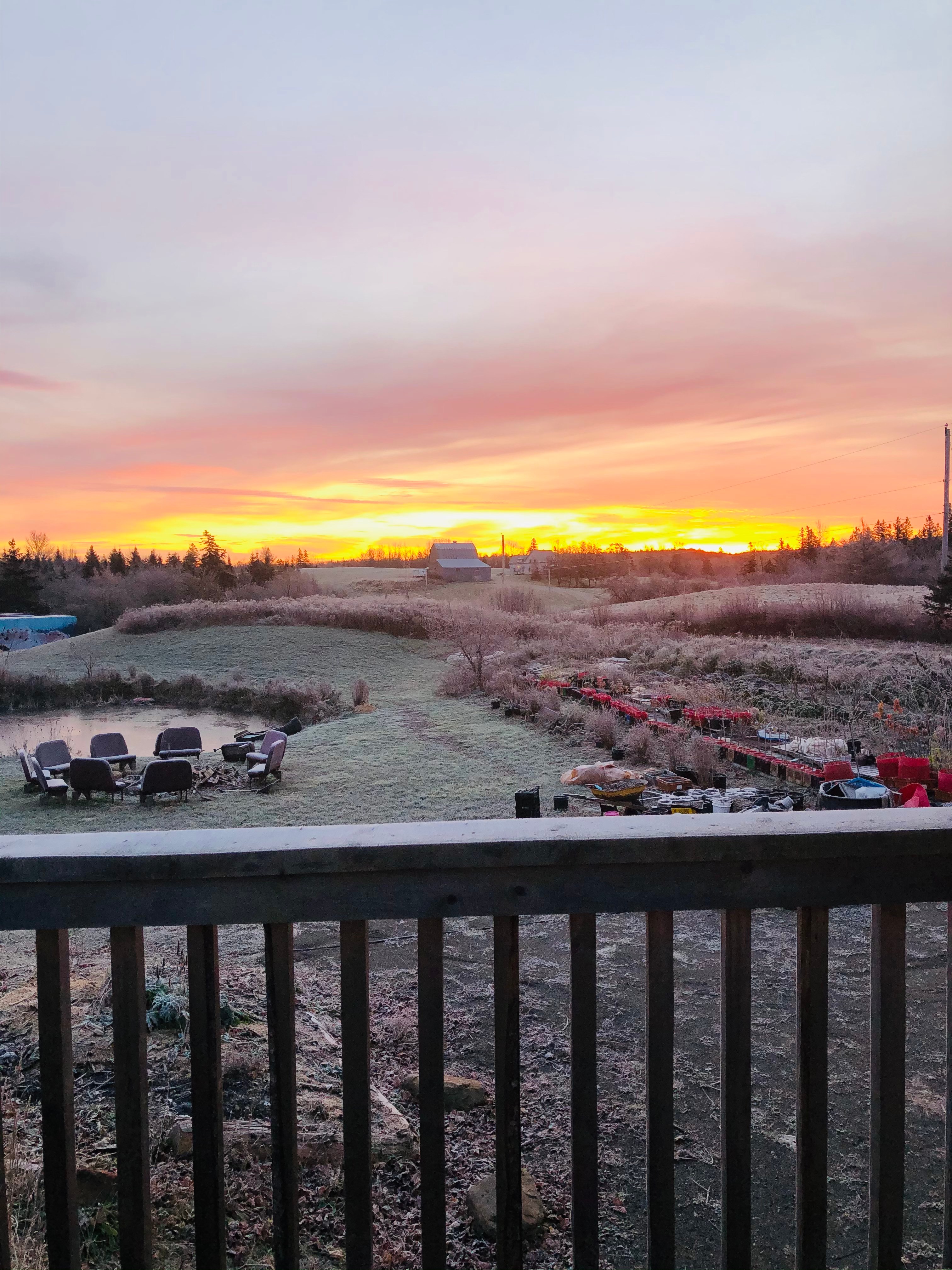 A view of the land near by (not from the perspective of the Yome).