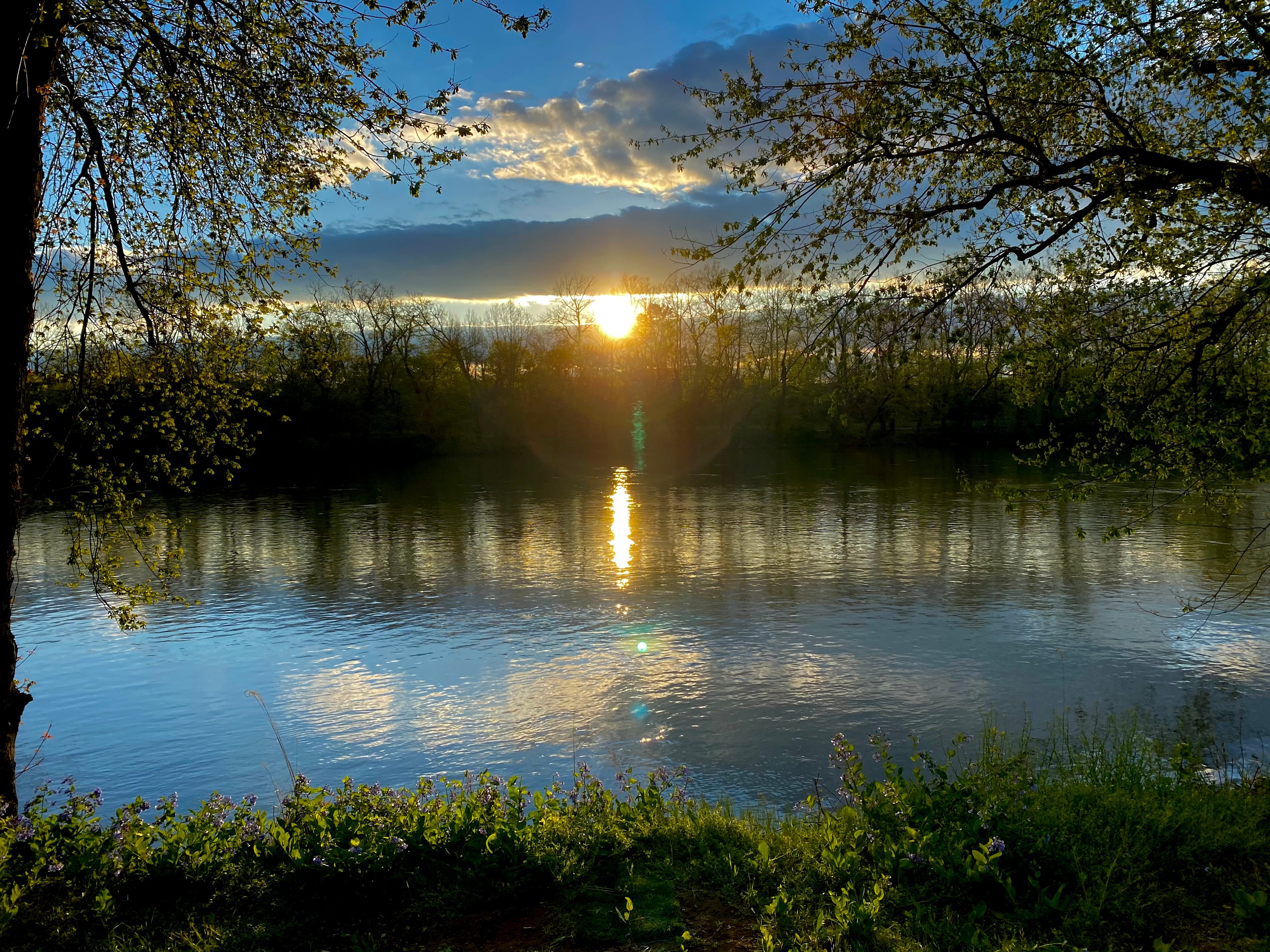 The Lavat Spot Eudaimonia