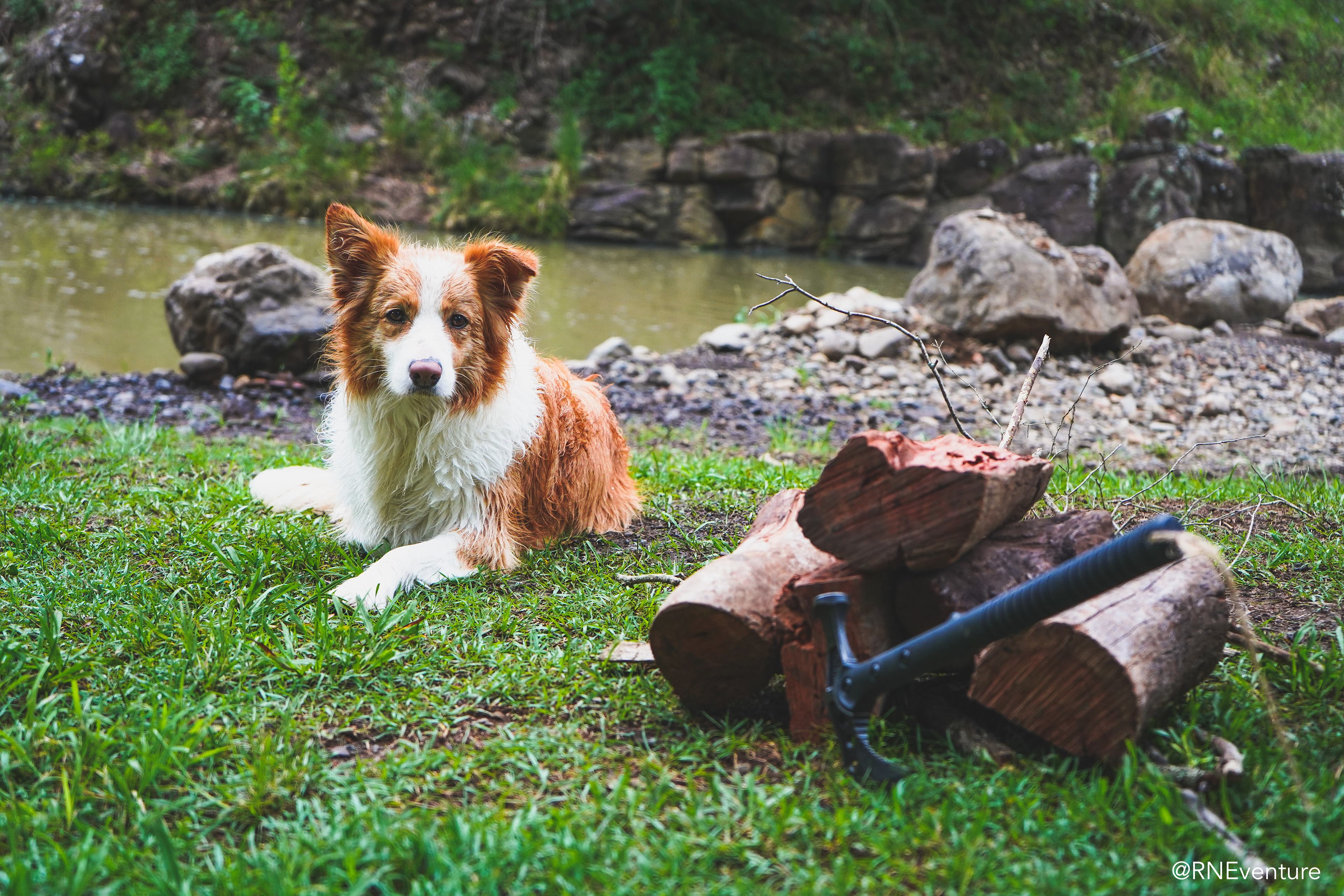 Estate Lodges Caravan & Camping
