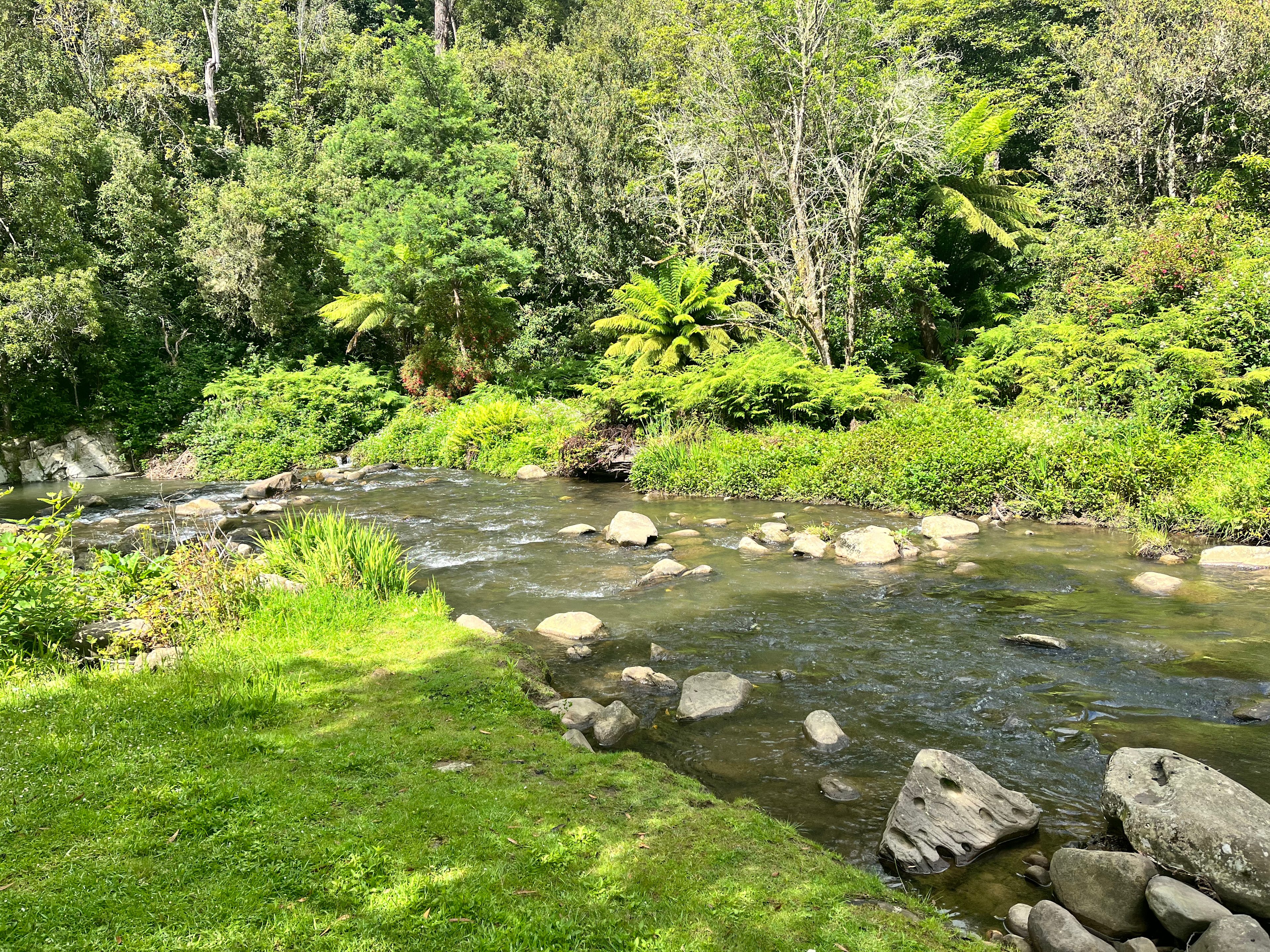 Take a trip to visit the local river and waterfalls