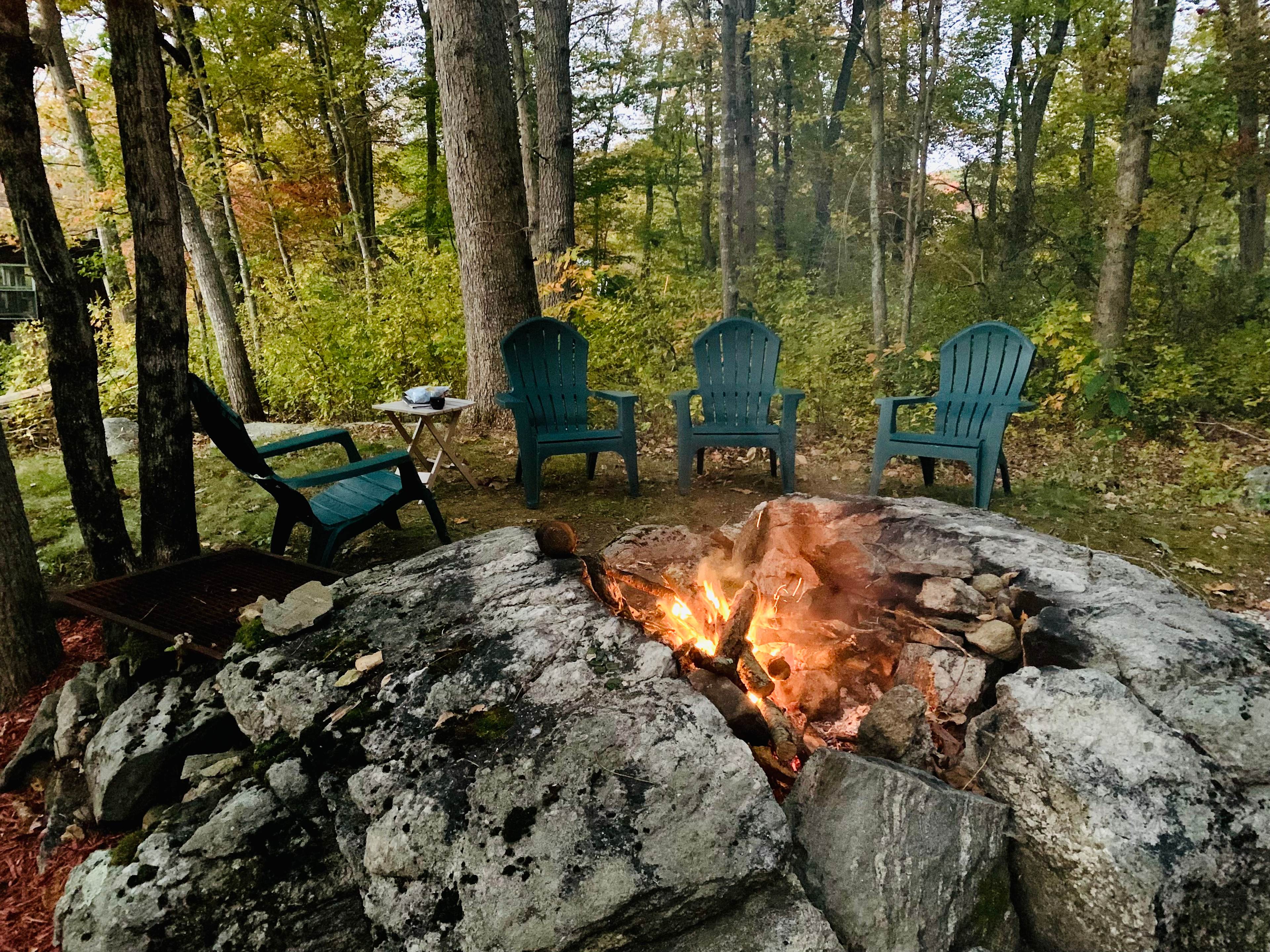 SimplePrivateNaturalEpicFirepitPets