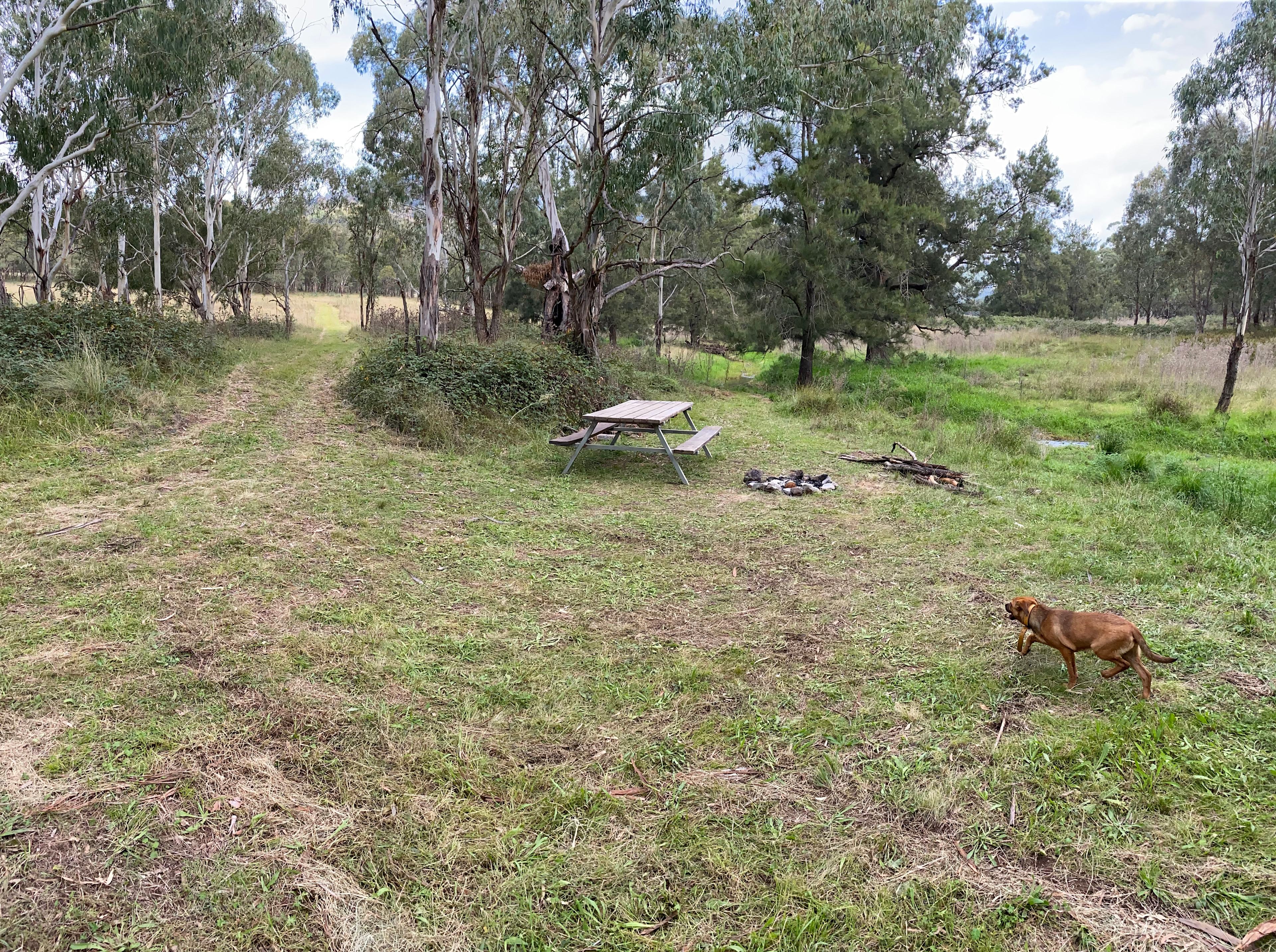 Temple Court, Murrurundi