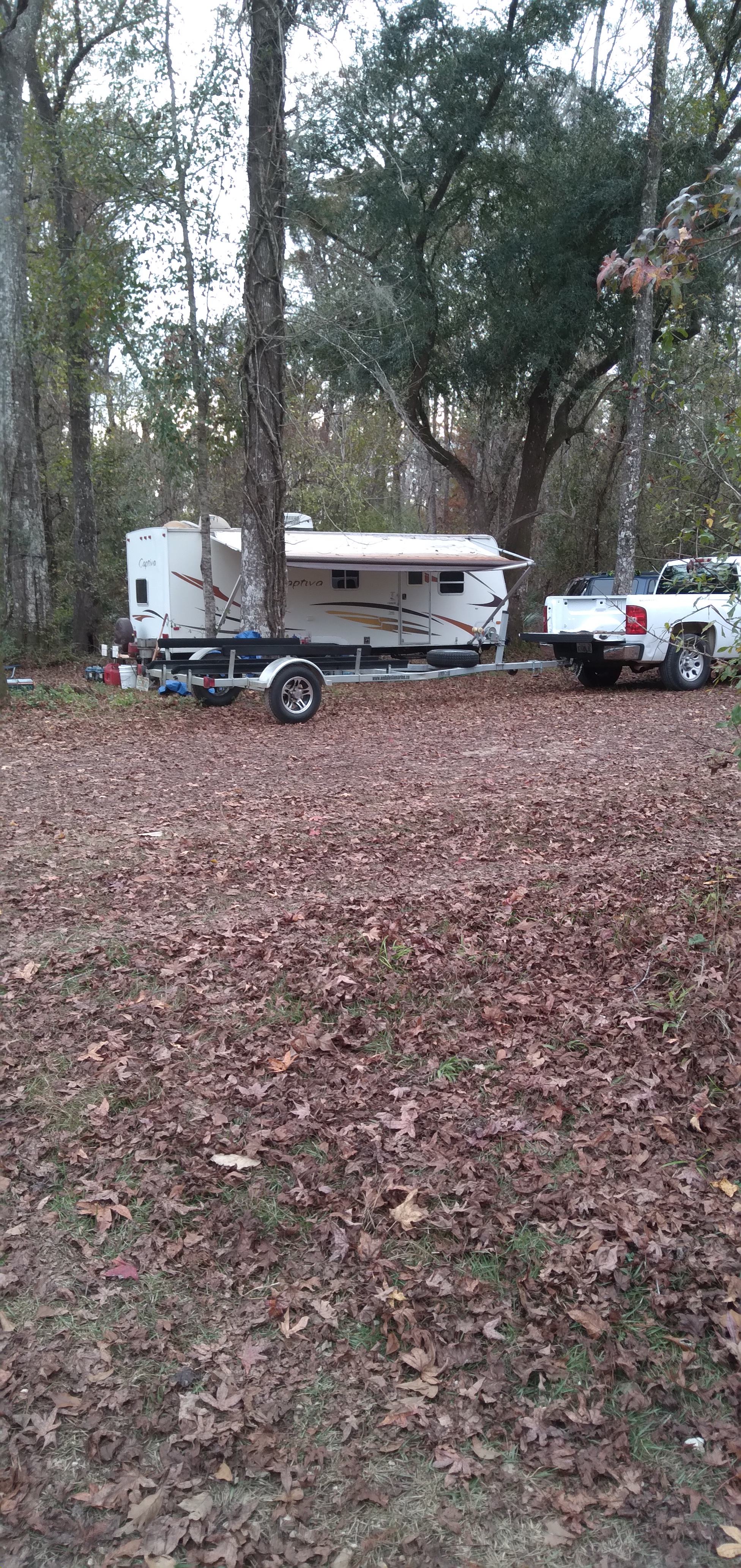 Apalachicola National Forest