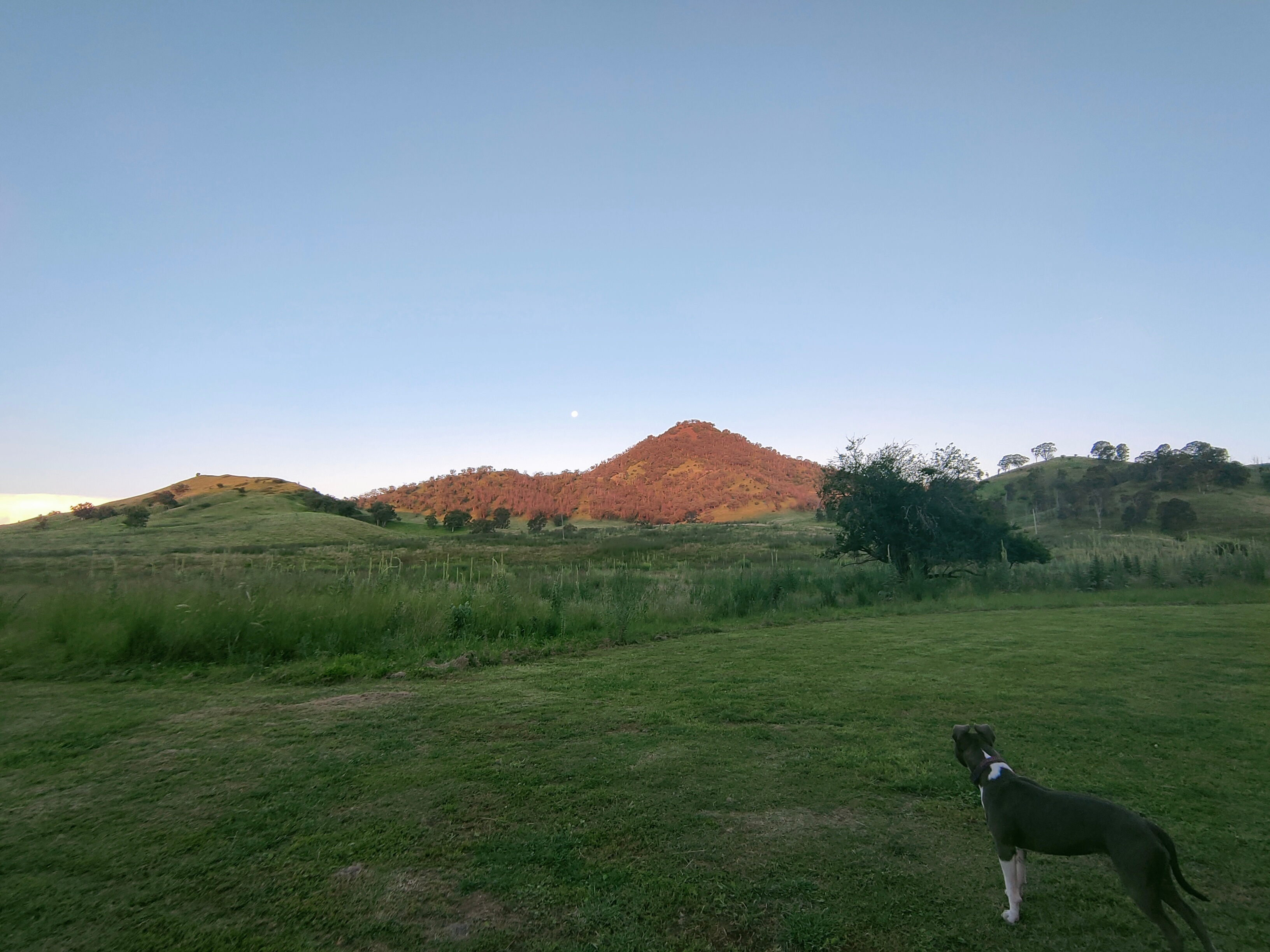 Omadale Brook, Barrington Tops