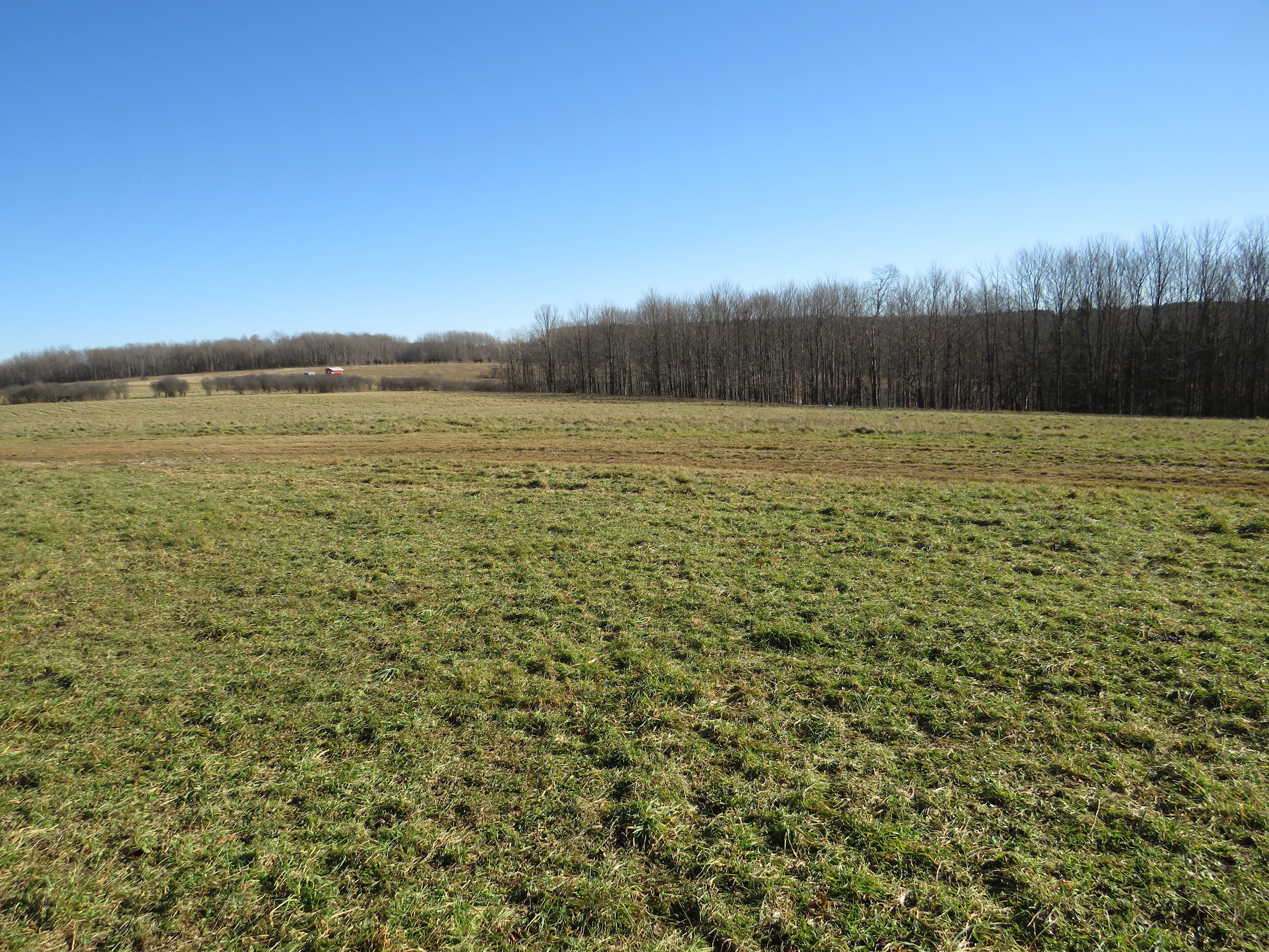 Jara Farms