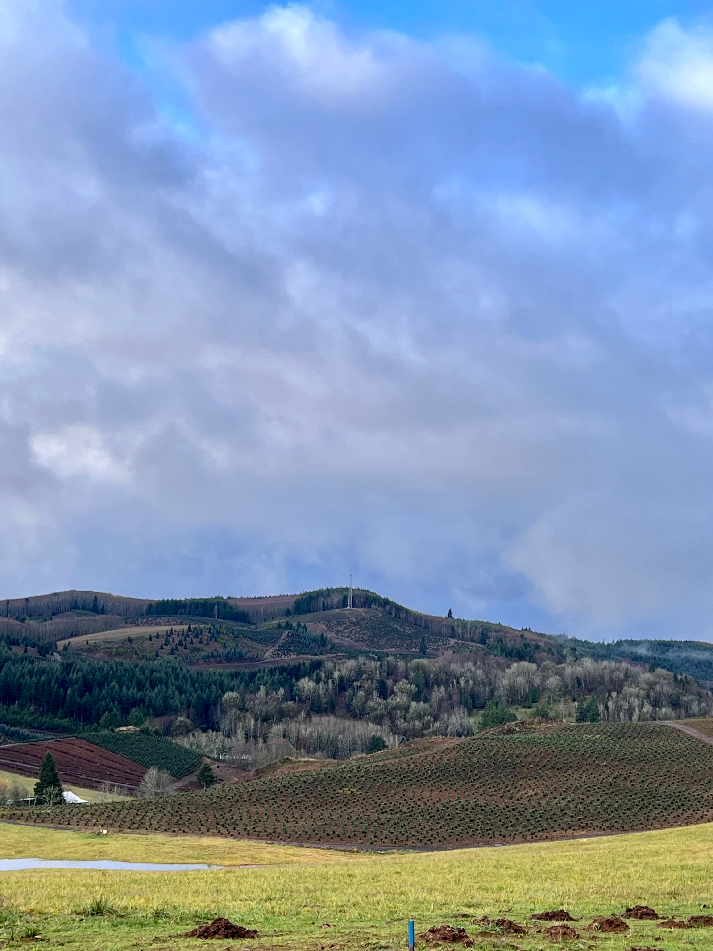 21 Acres above Riffe Lake Park