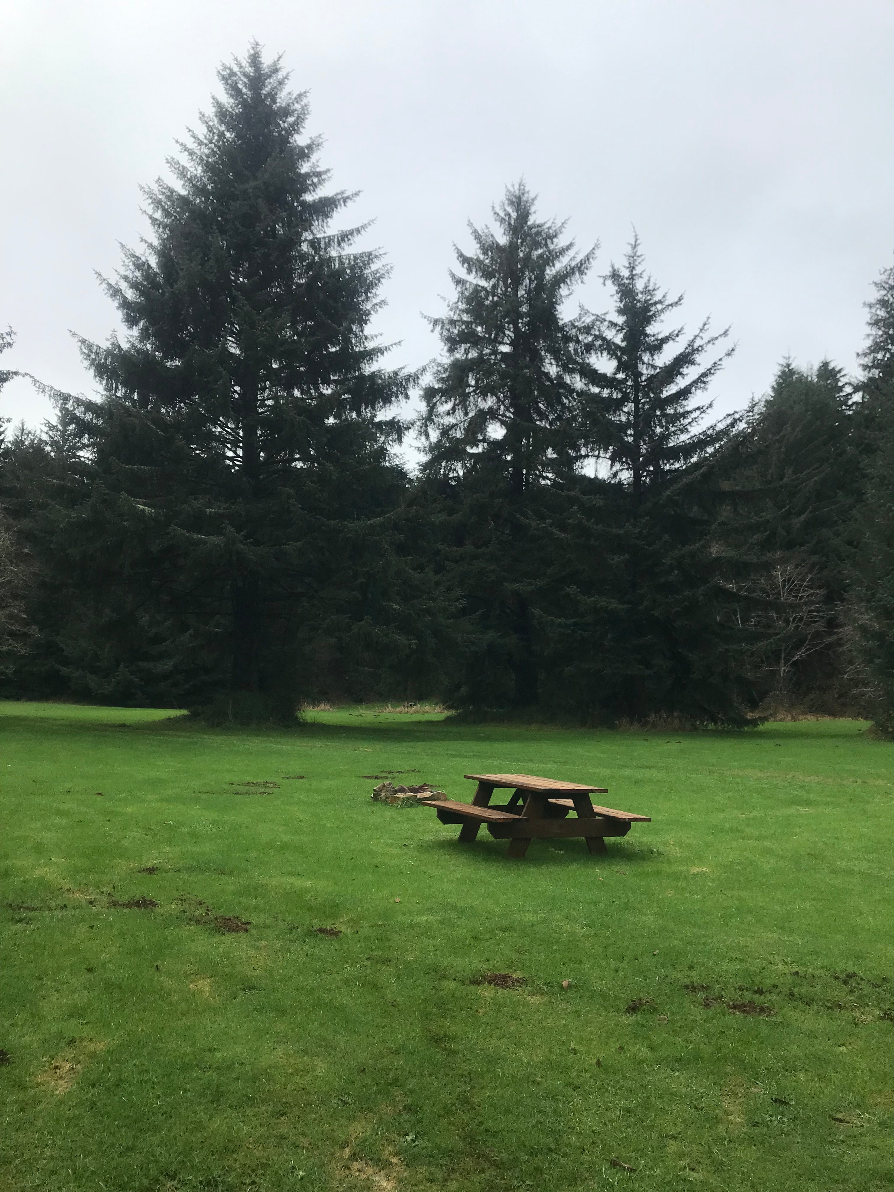 Enjoy our new picnic tables