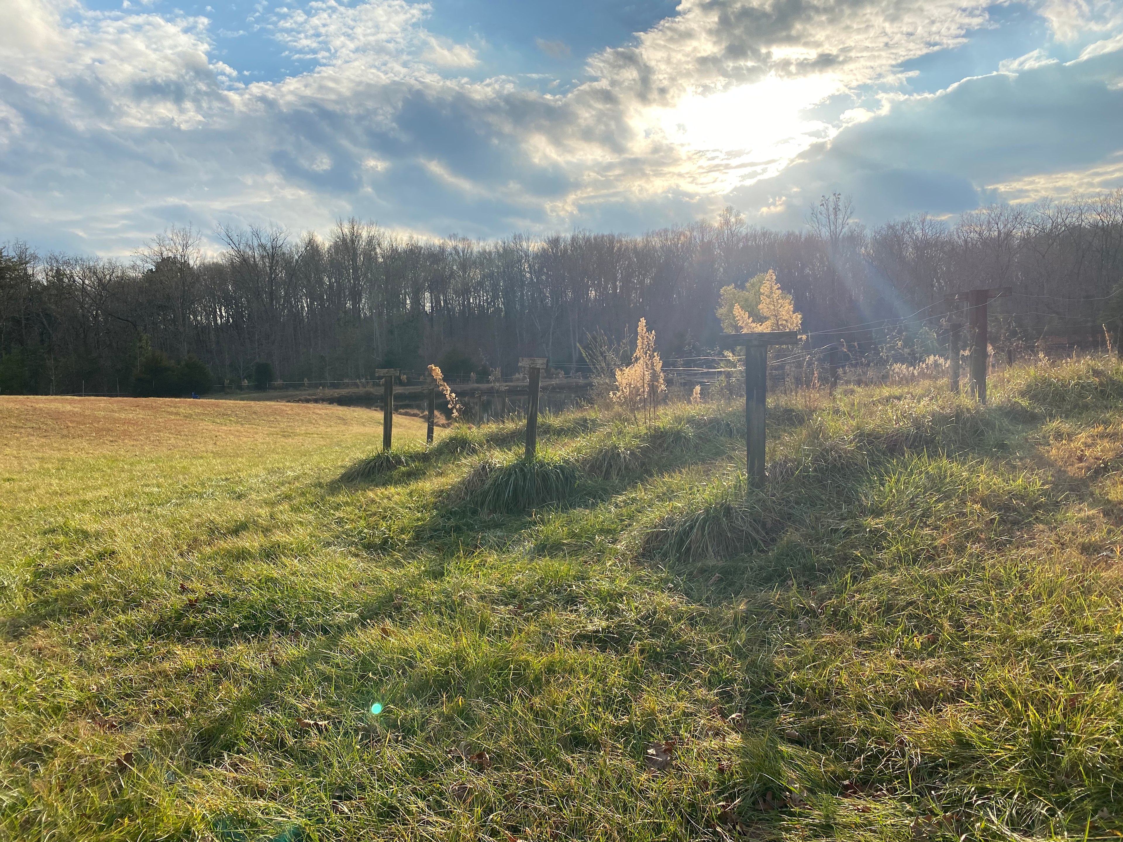 Private meadow and pond