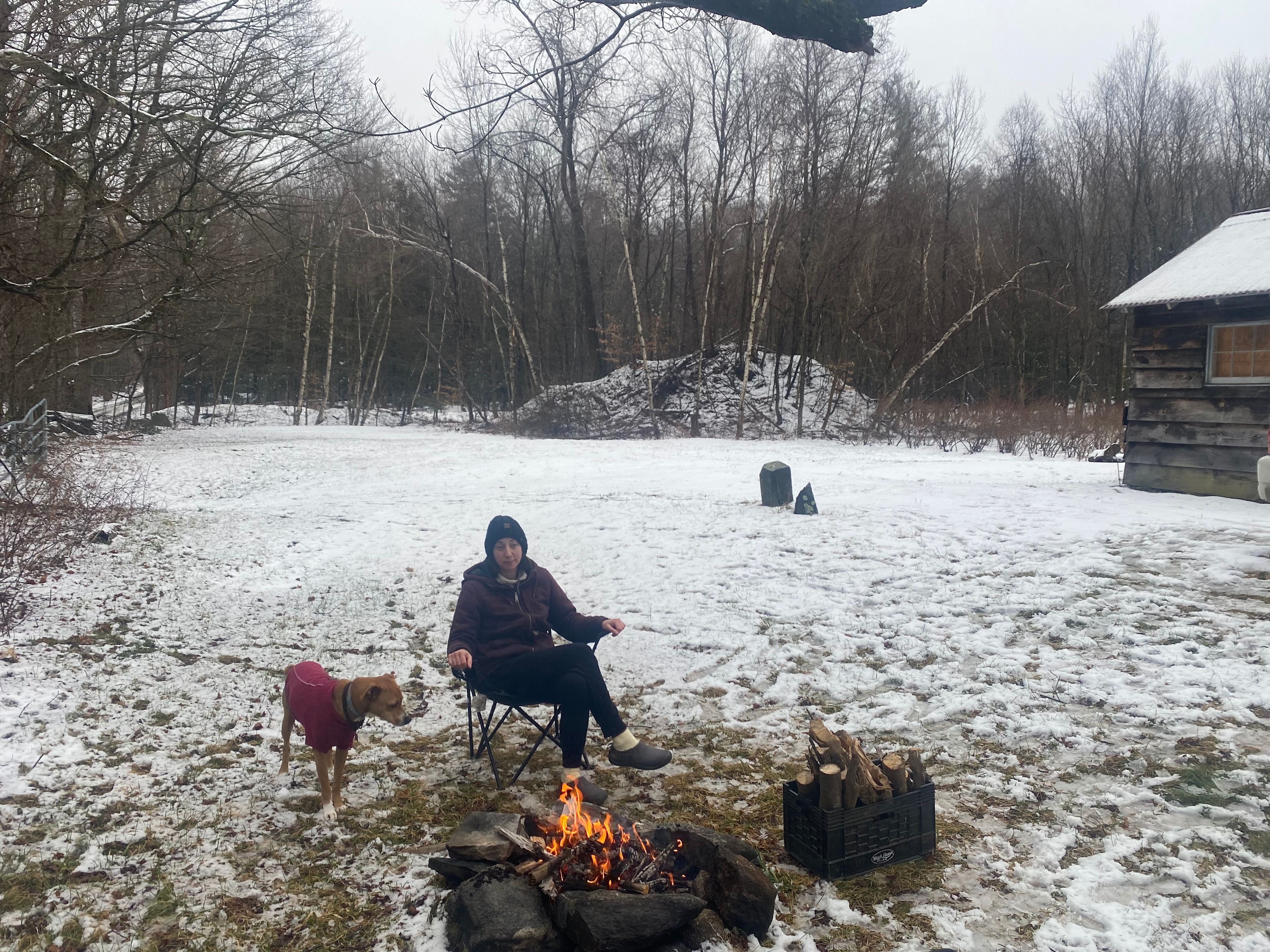 Blueberry Orchard By The Pond