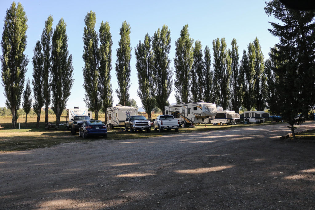 Cottonwood Camp