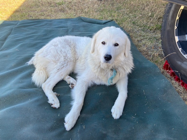 Great Views Farmstay
