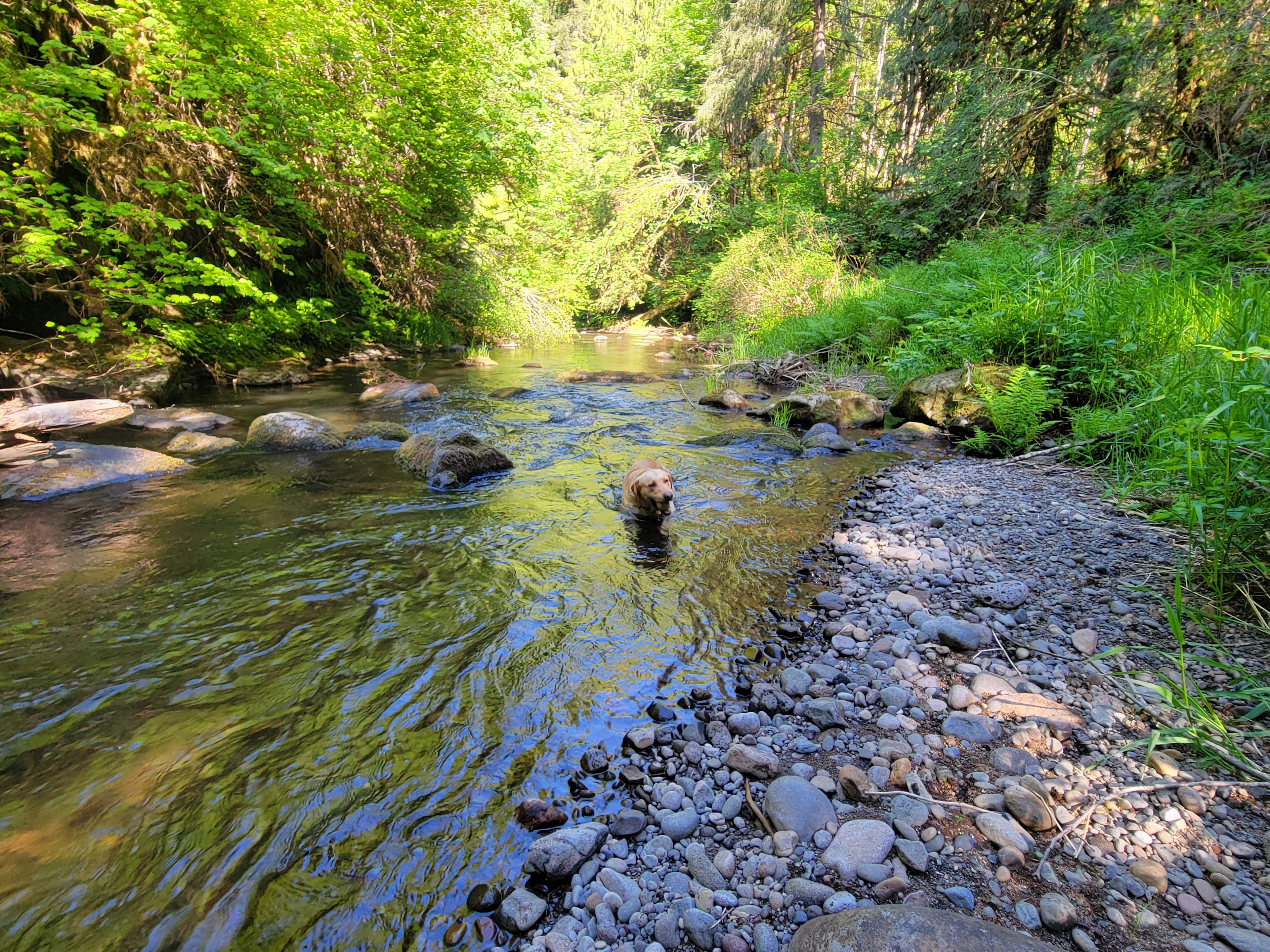 Main Creek Access Area