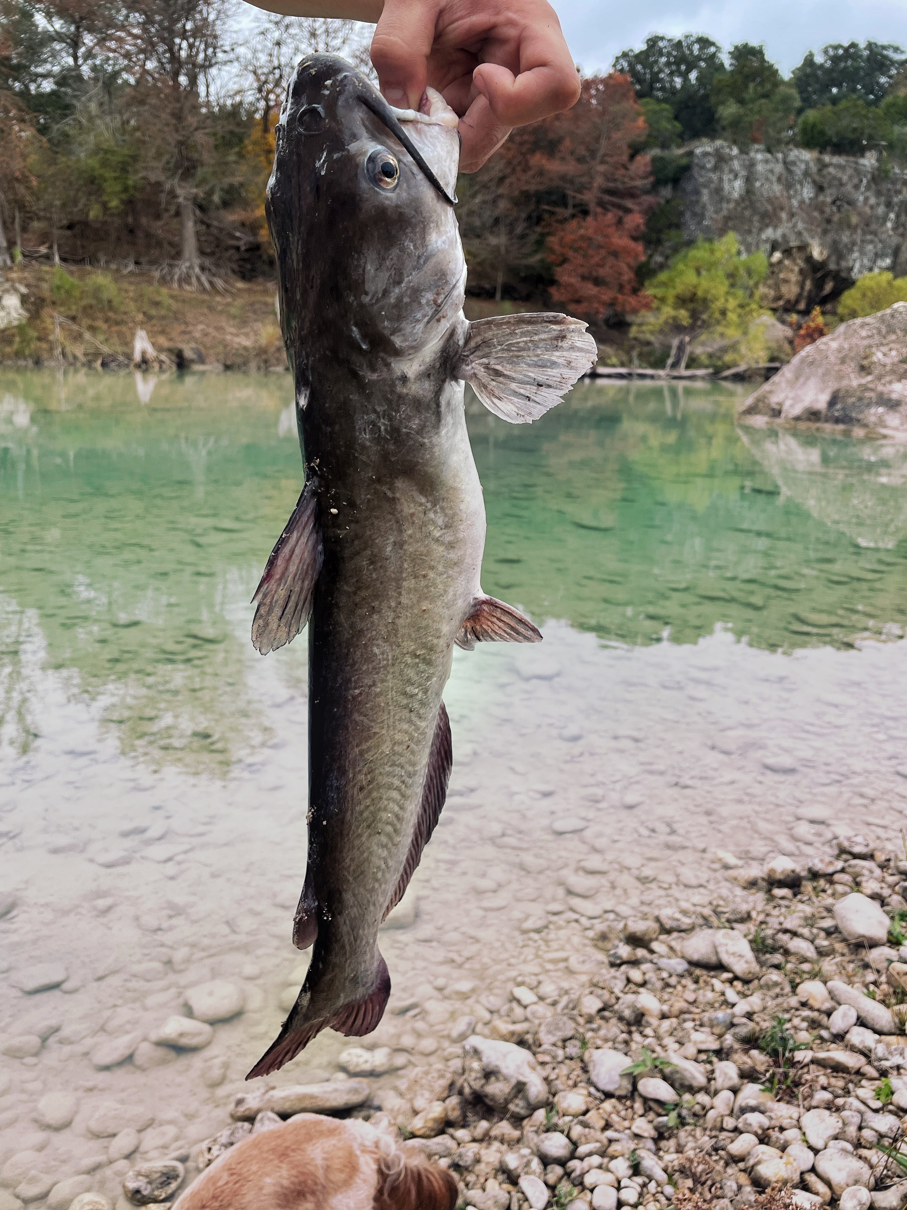 Sparrow Bend River Retreat