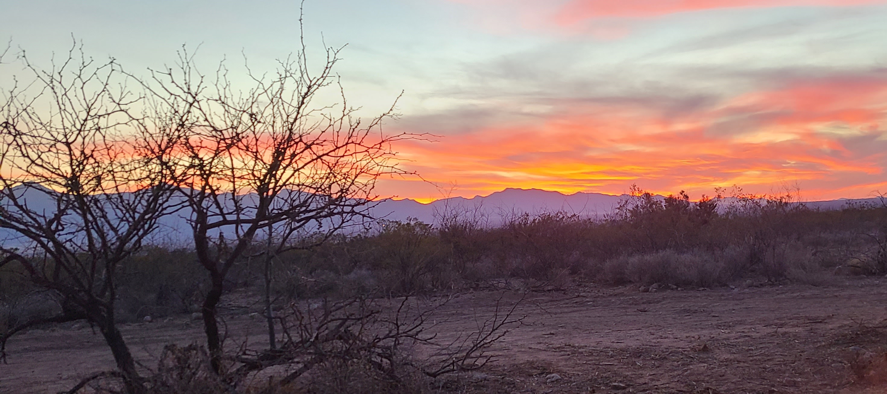 Sunset View
