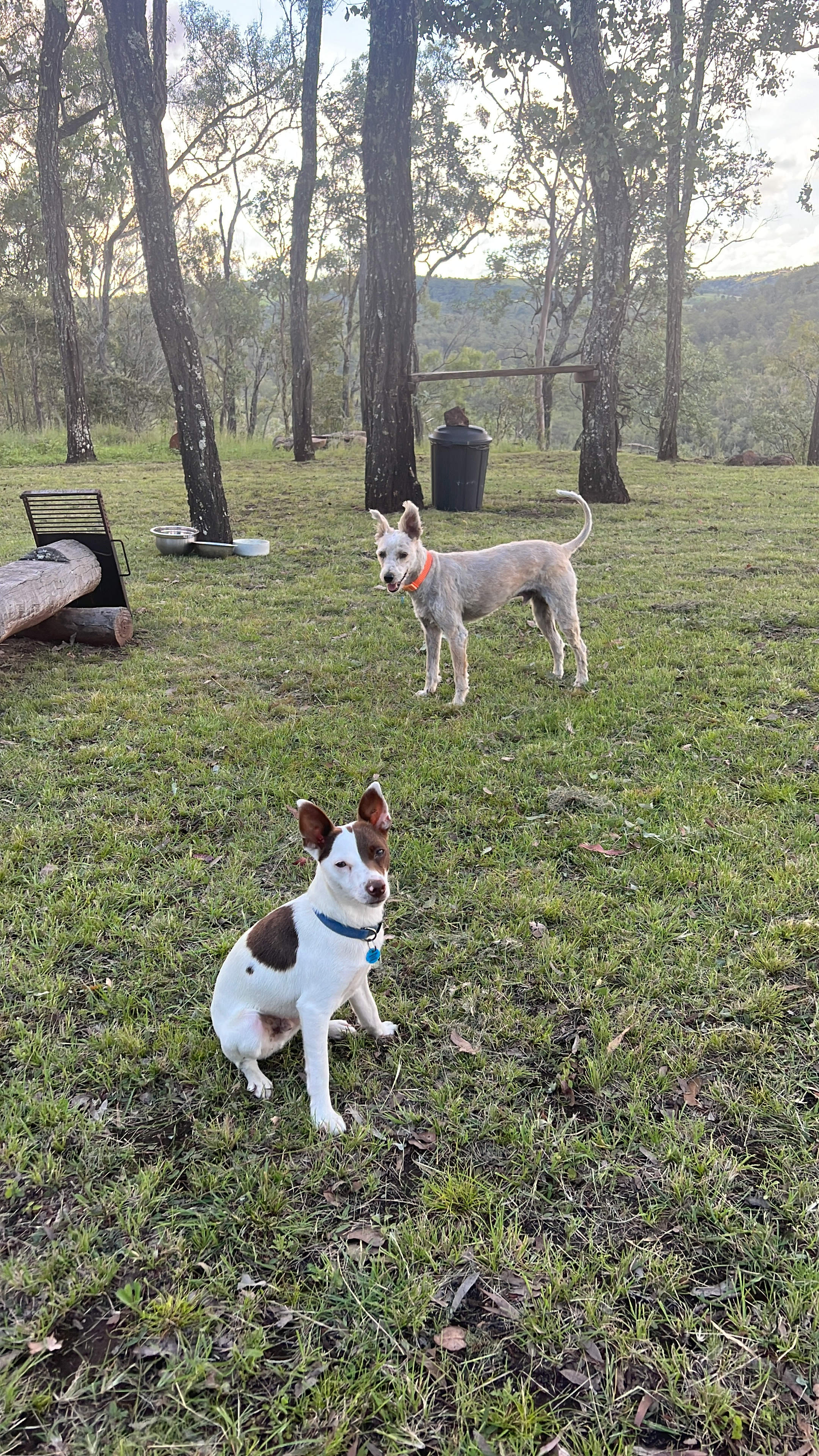Resolute Nature Refuge, Nanango
