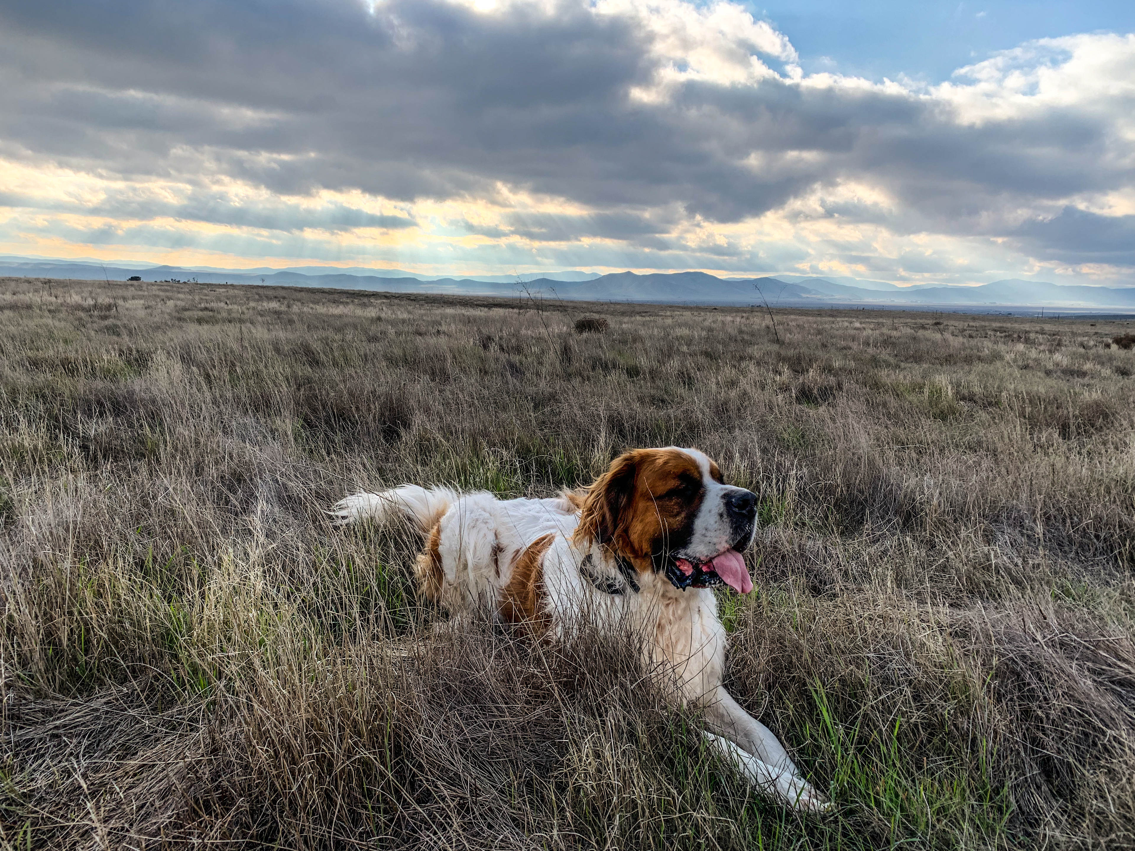 Secluded Carrizo Plains Campsite