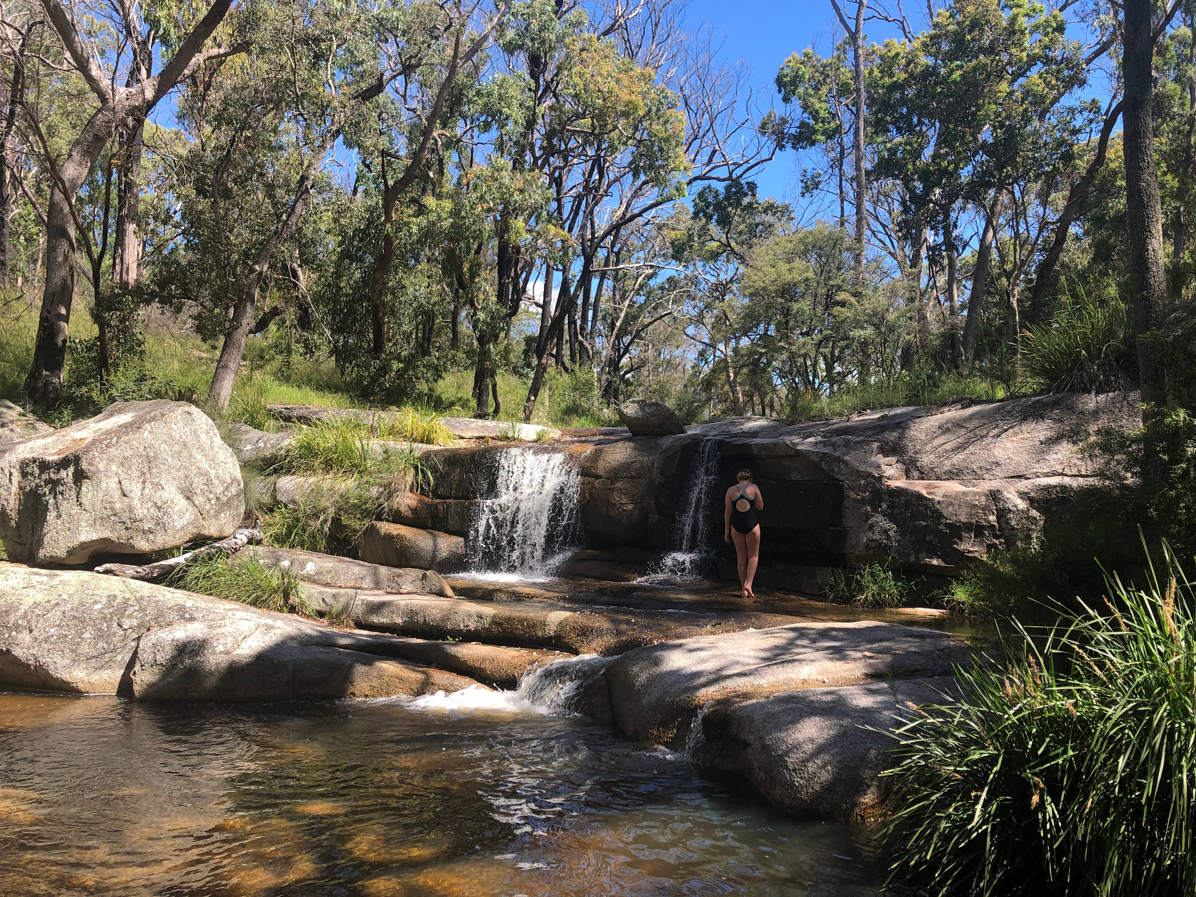 Splitters Swamp Creek Waterfall