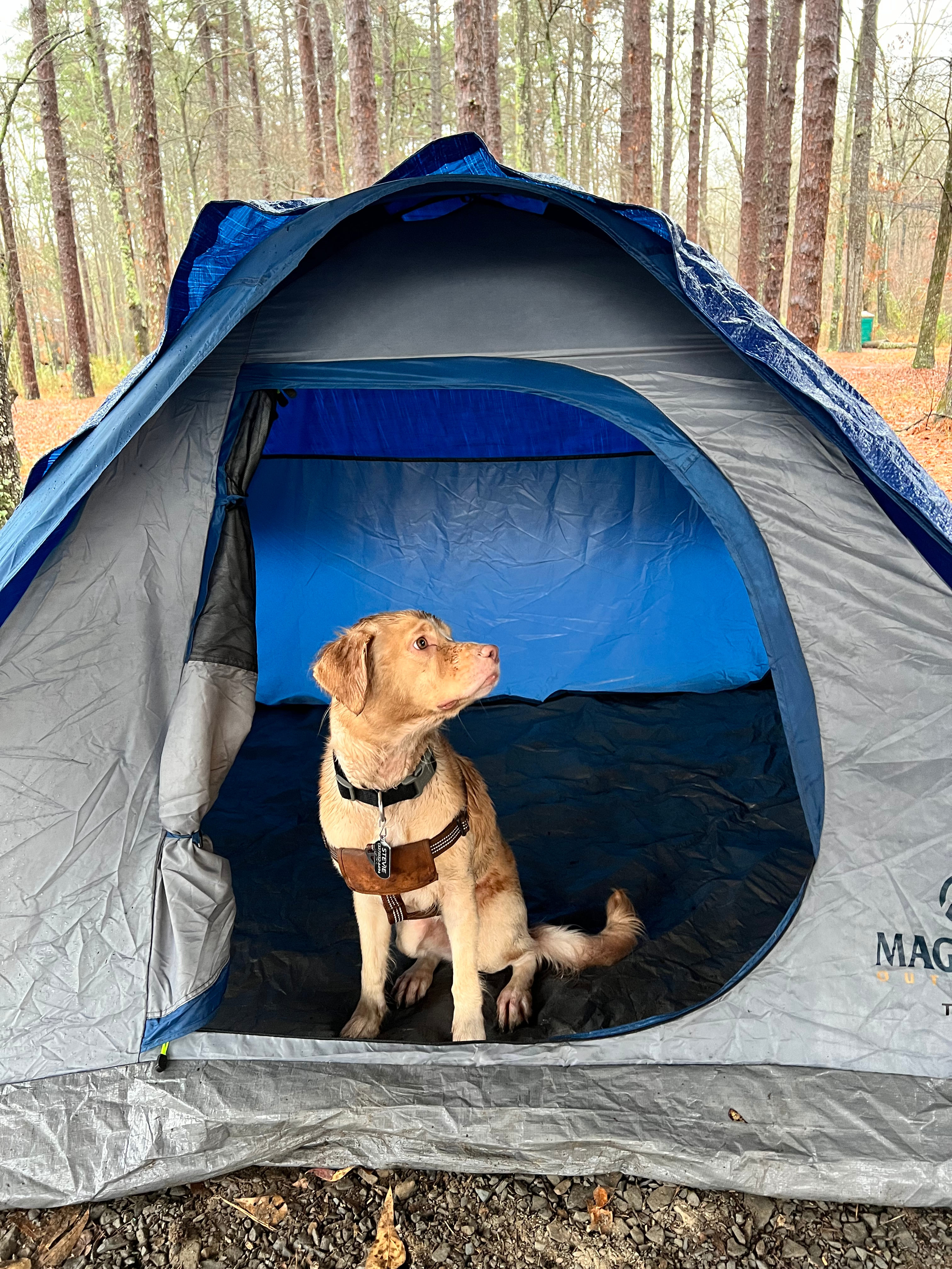 Pinnacle Springs Recreational Park