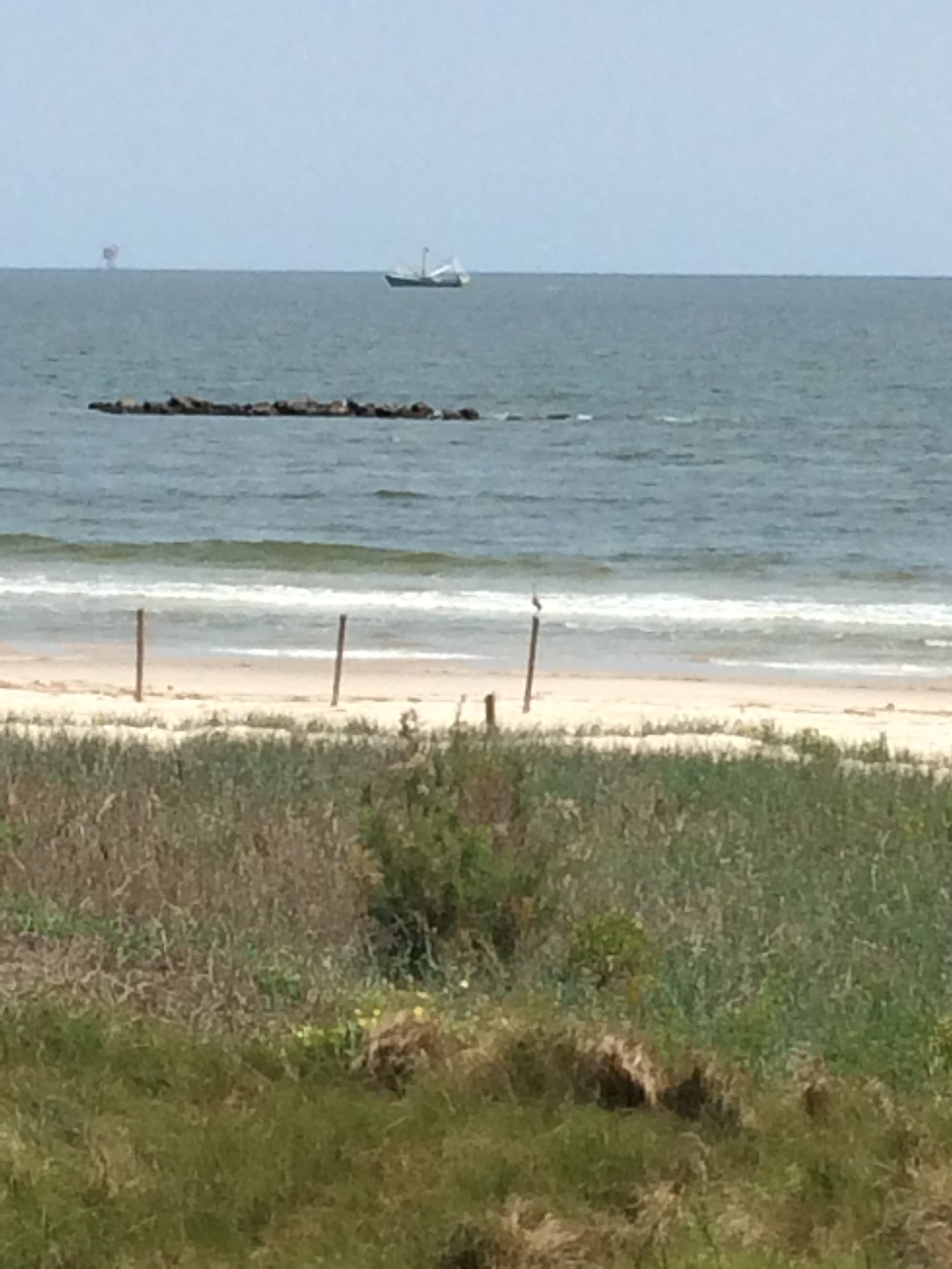 RV sites just across the dunes