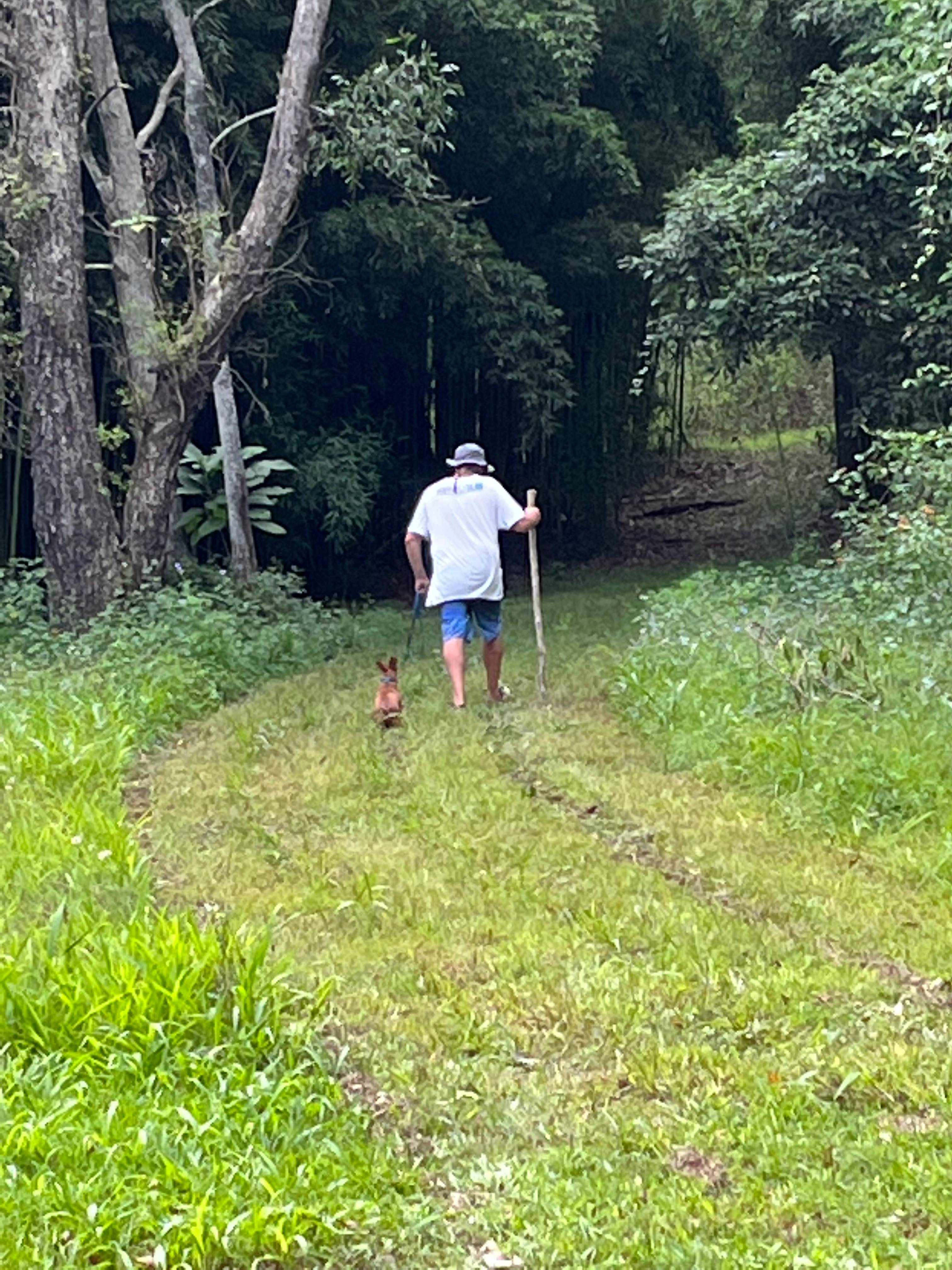 Mowed tracks for walking