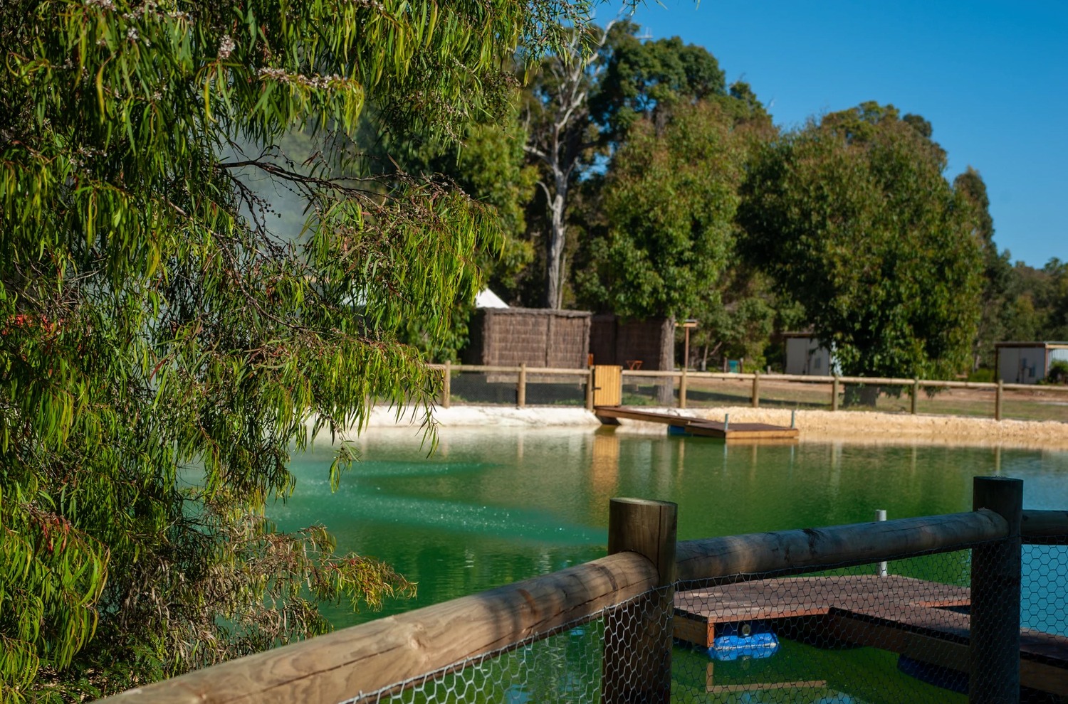 Stargazers Forest Hideaway