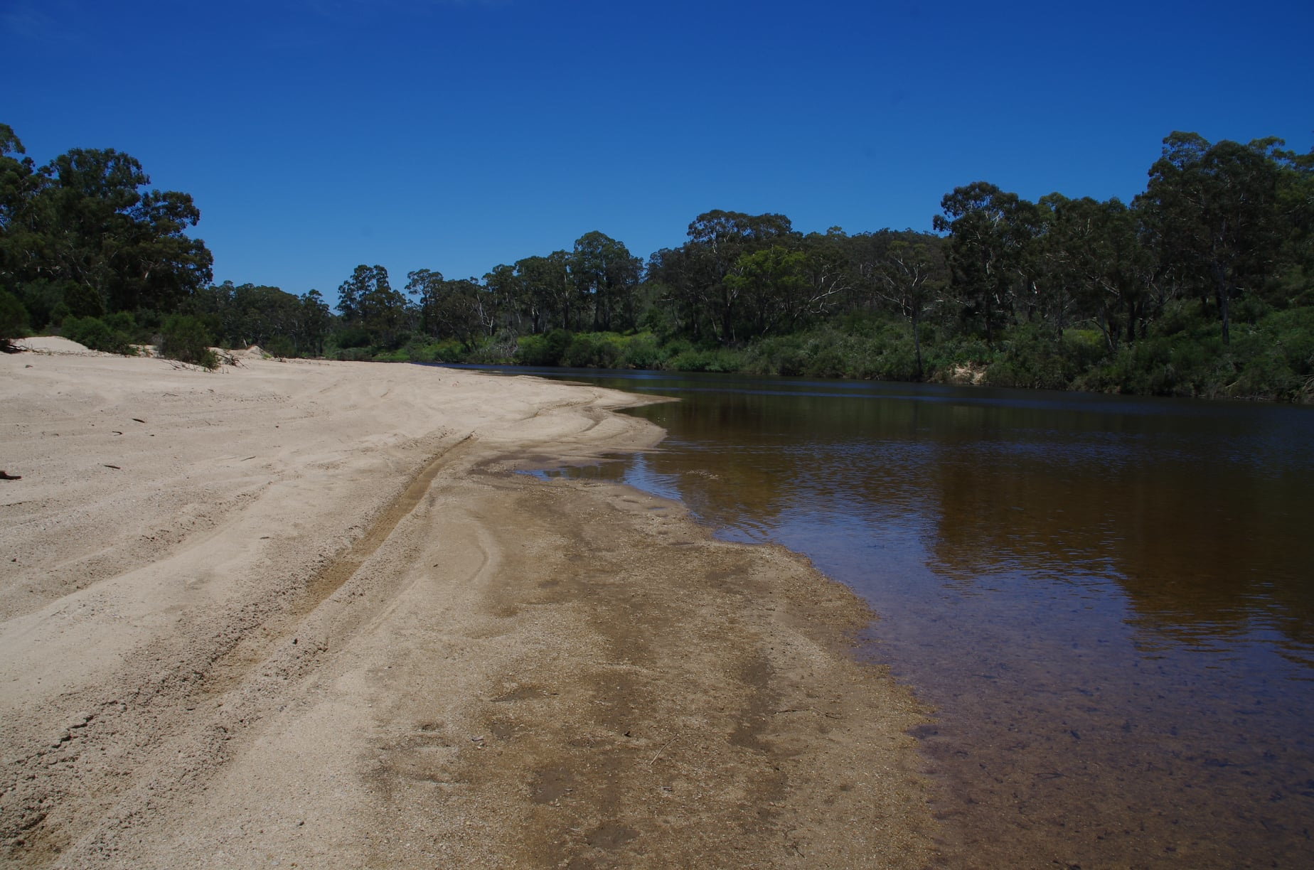 The river and beach at the back of our property.