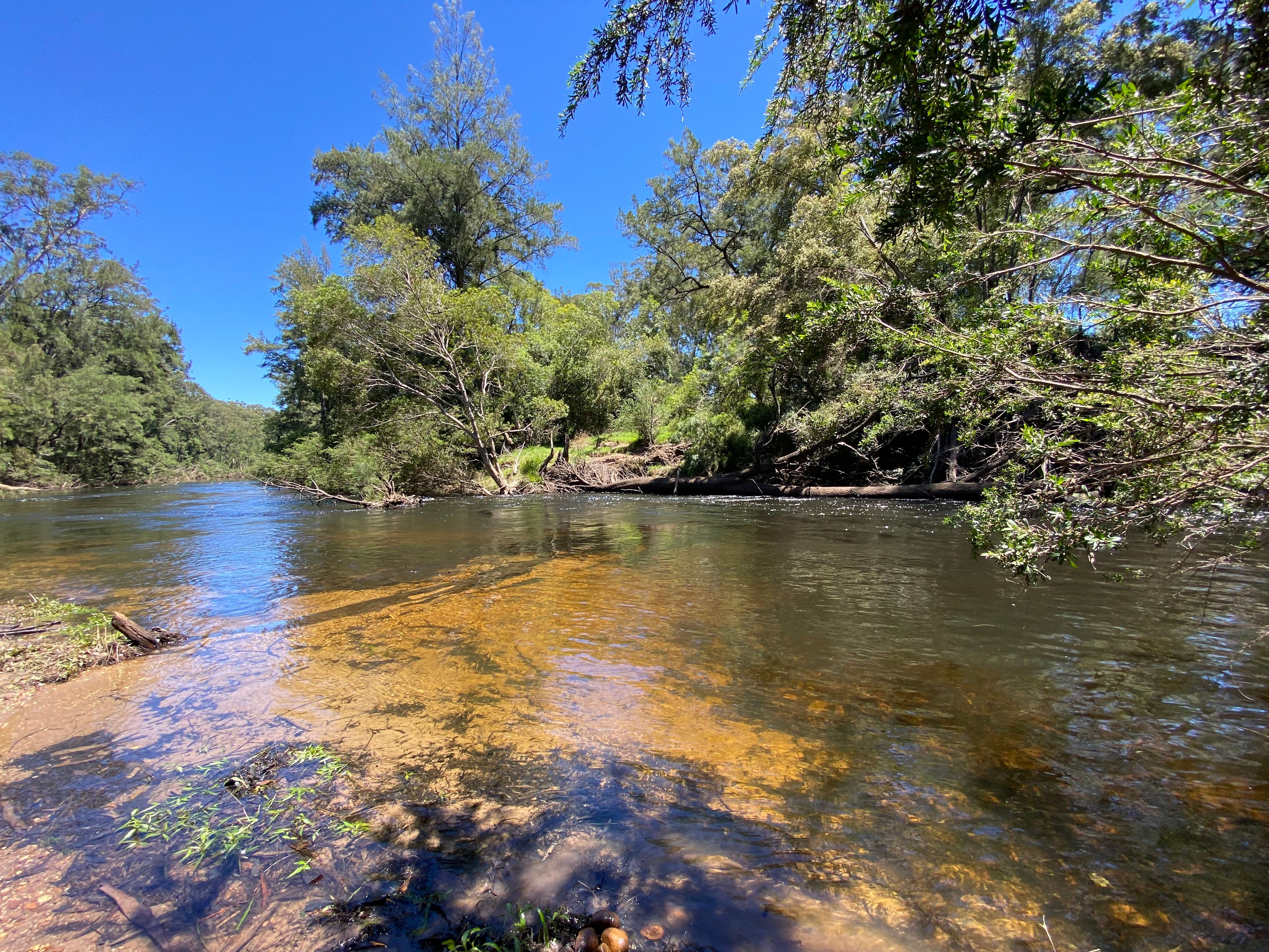 Nice swimming hole near site 6