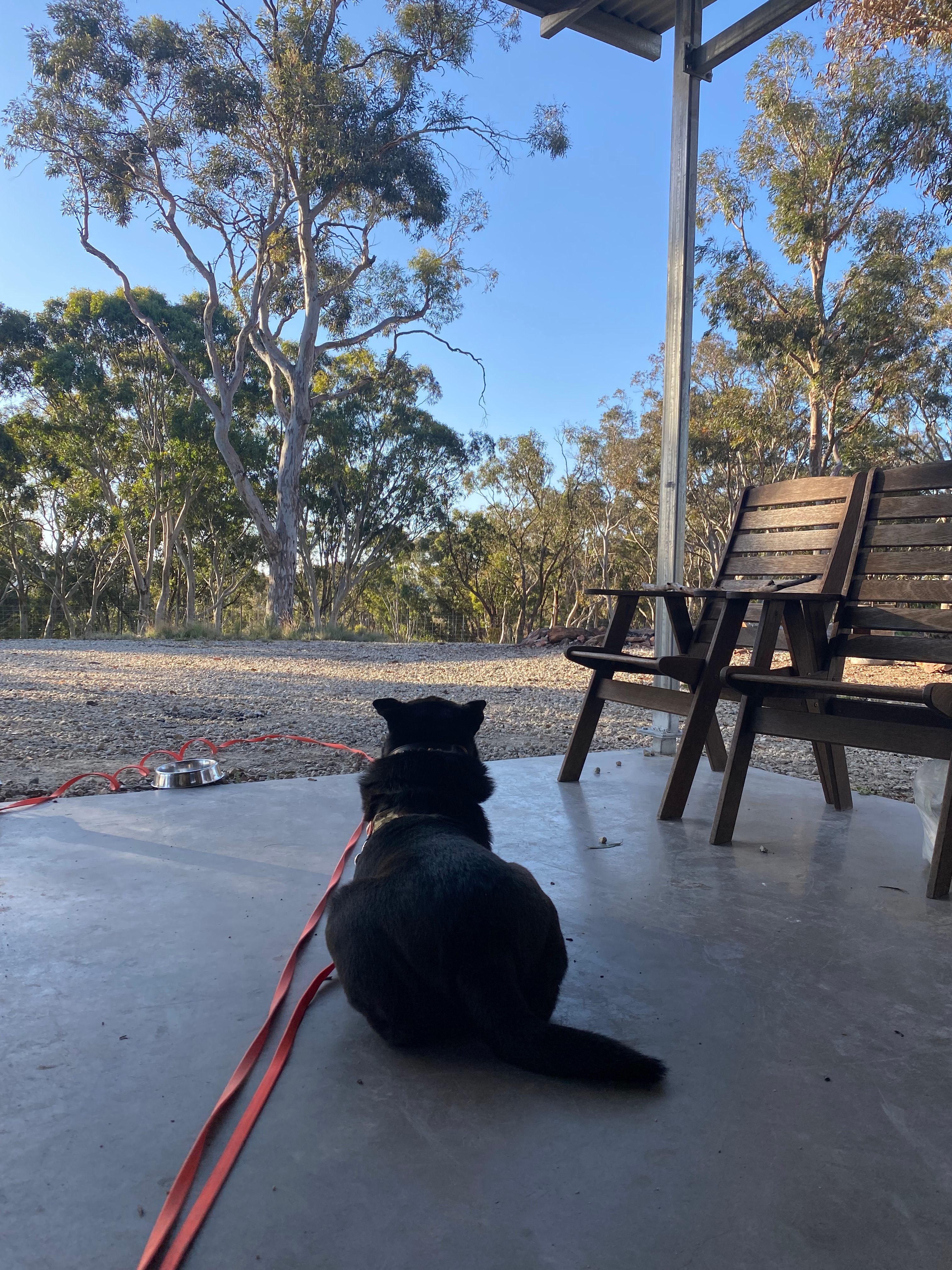 Pine Gums, via Goulburn.