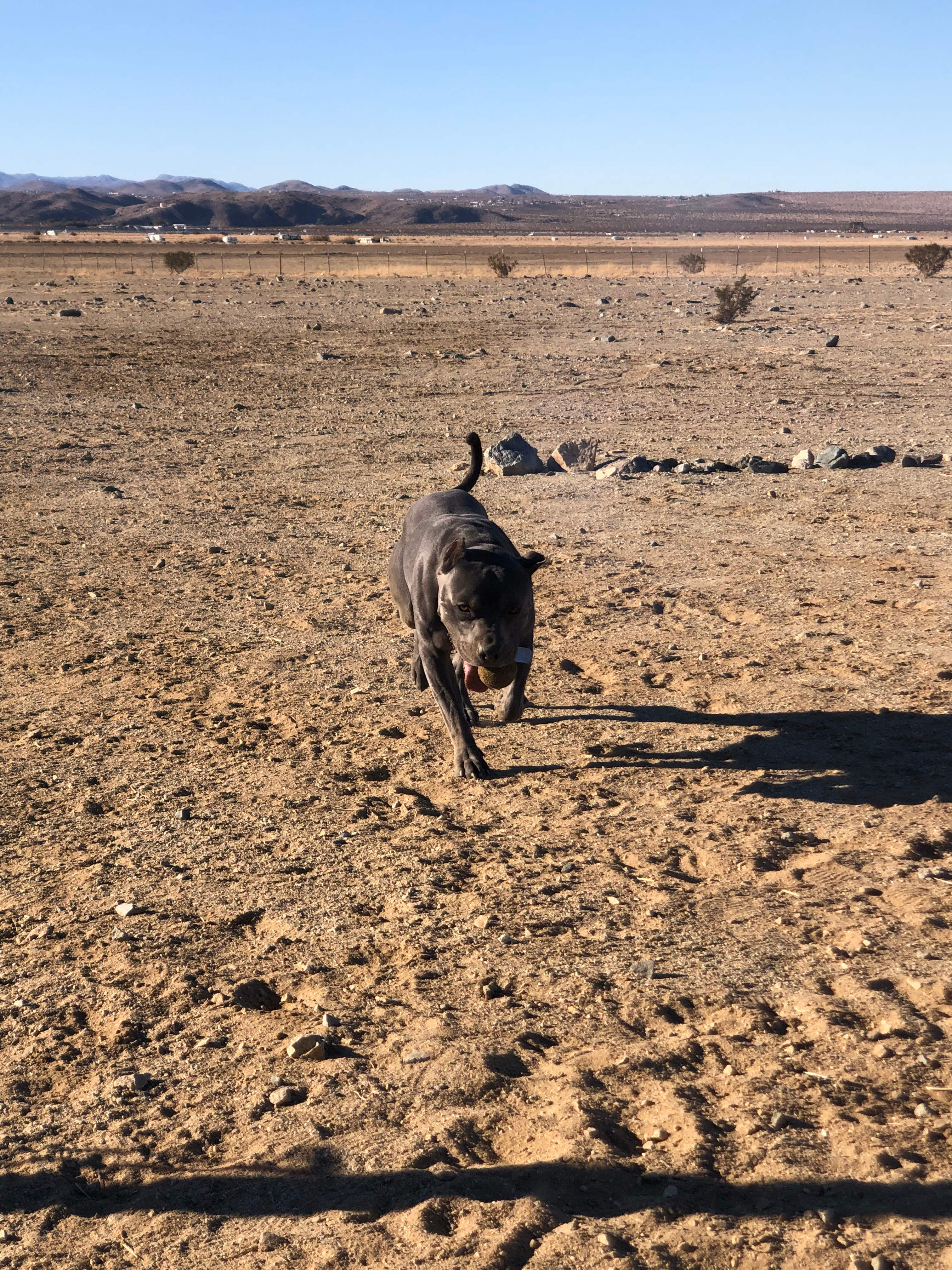 Private 40-Acre Off-Grid Retreat