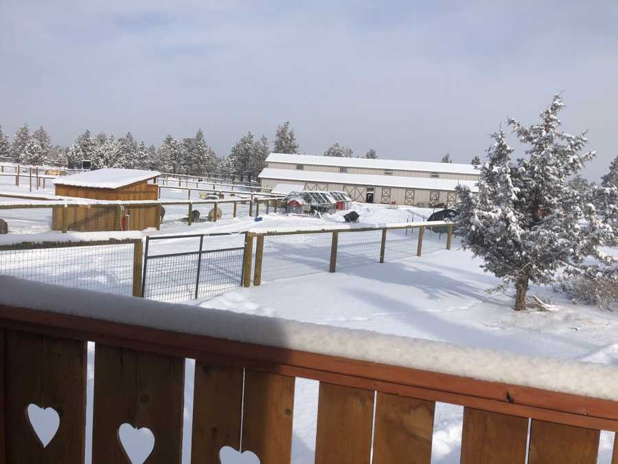 Looking out over the barn