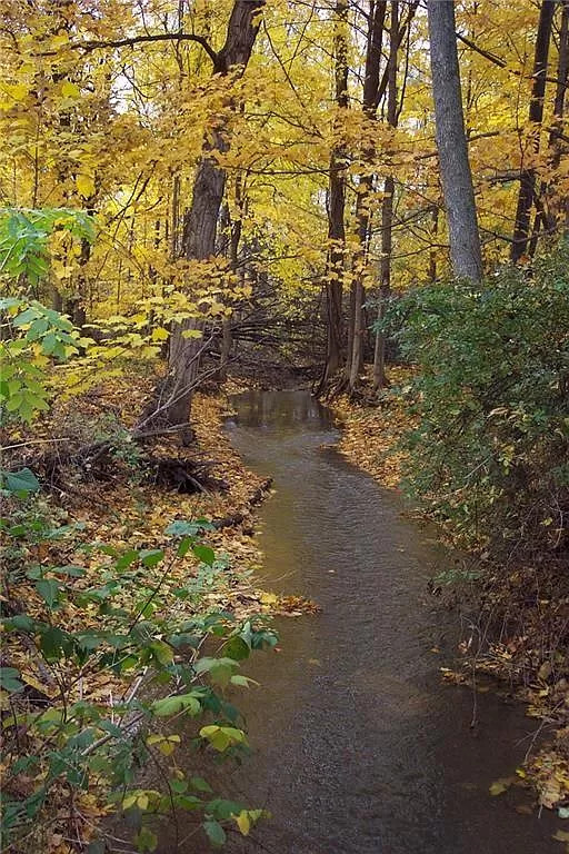 Secluded Camping on the Canal