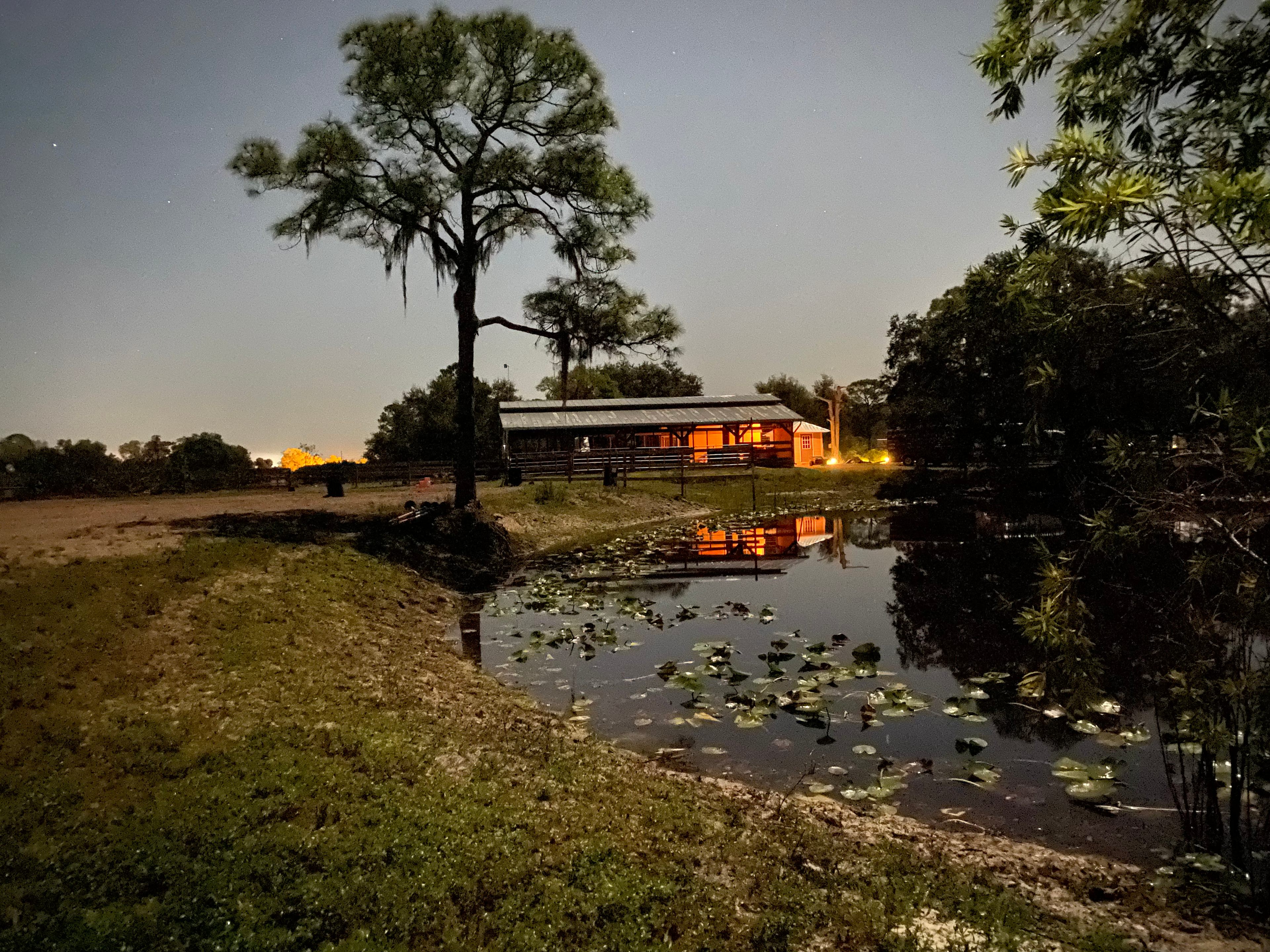 The barn and pond