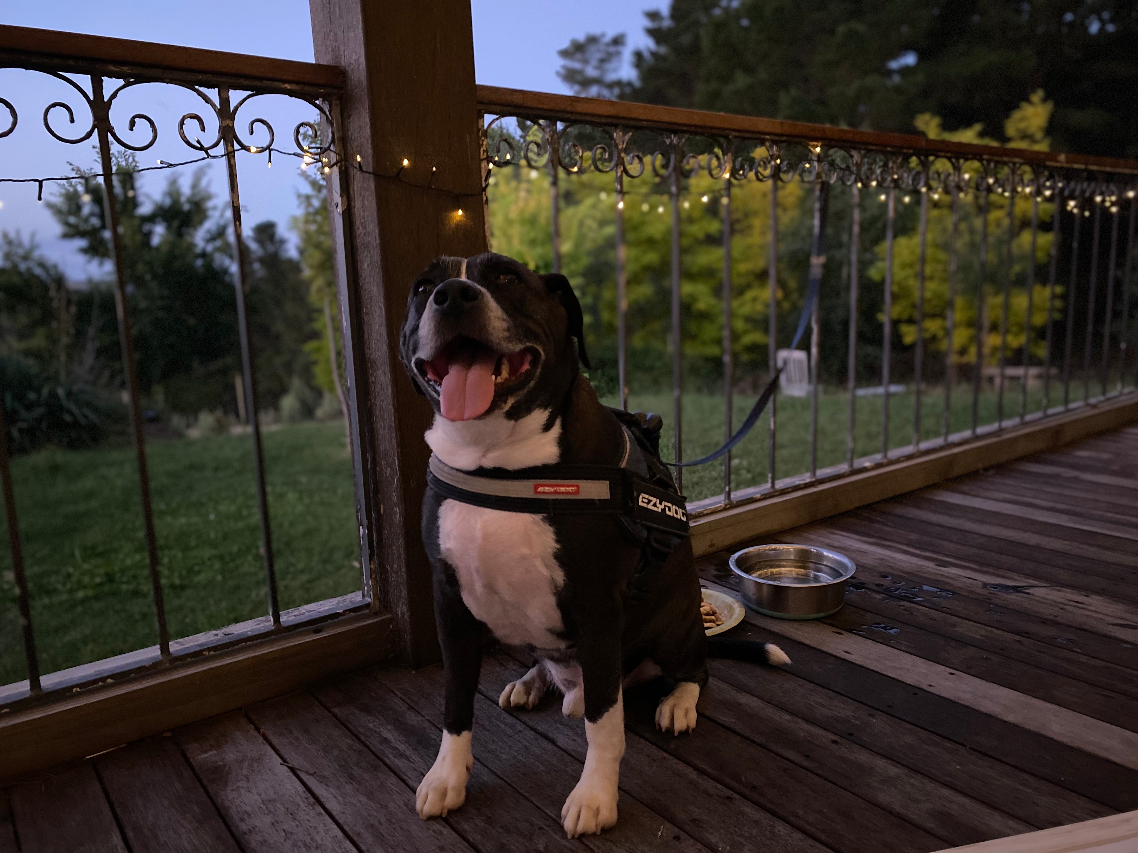 La Pinata Farm Stay Barn