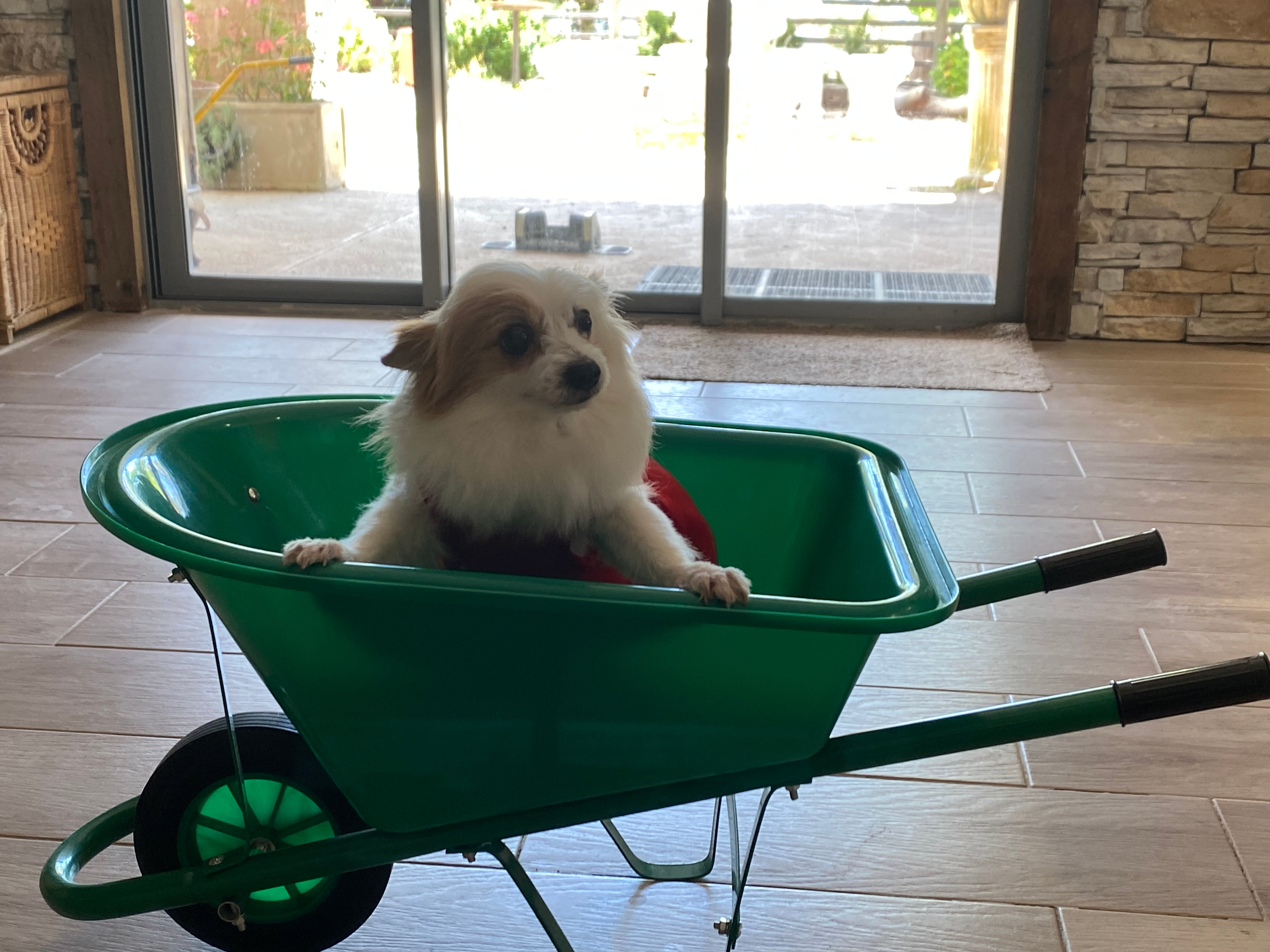 La Pinata Farm Stay Barn