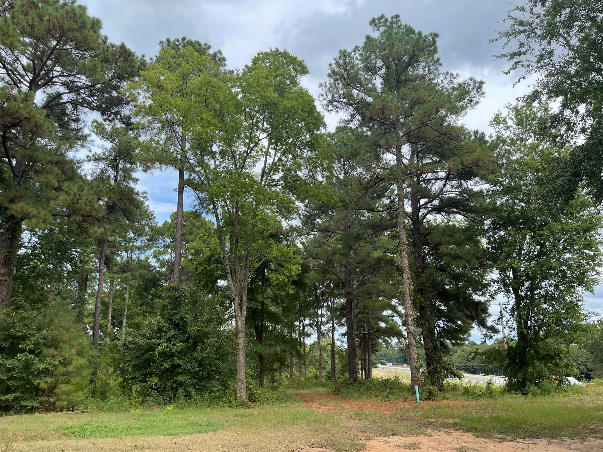 Twisted Pines RV Park