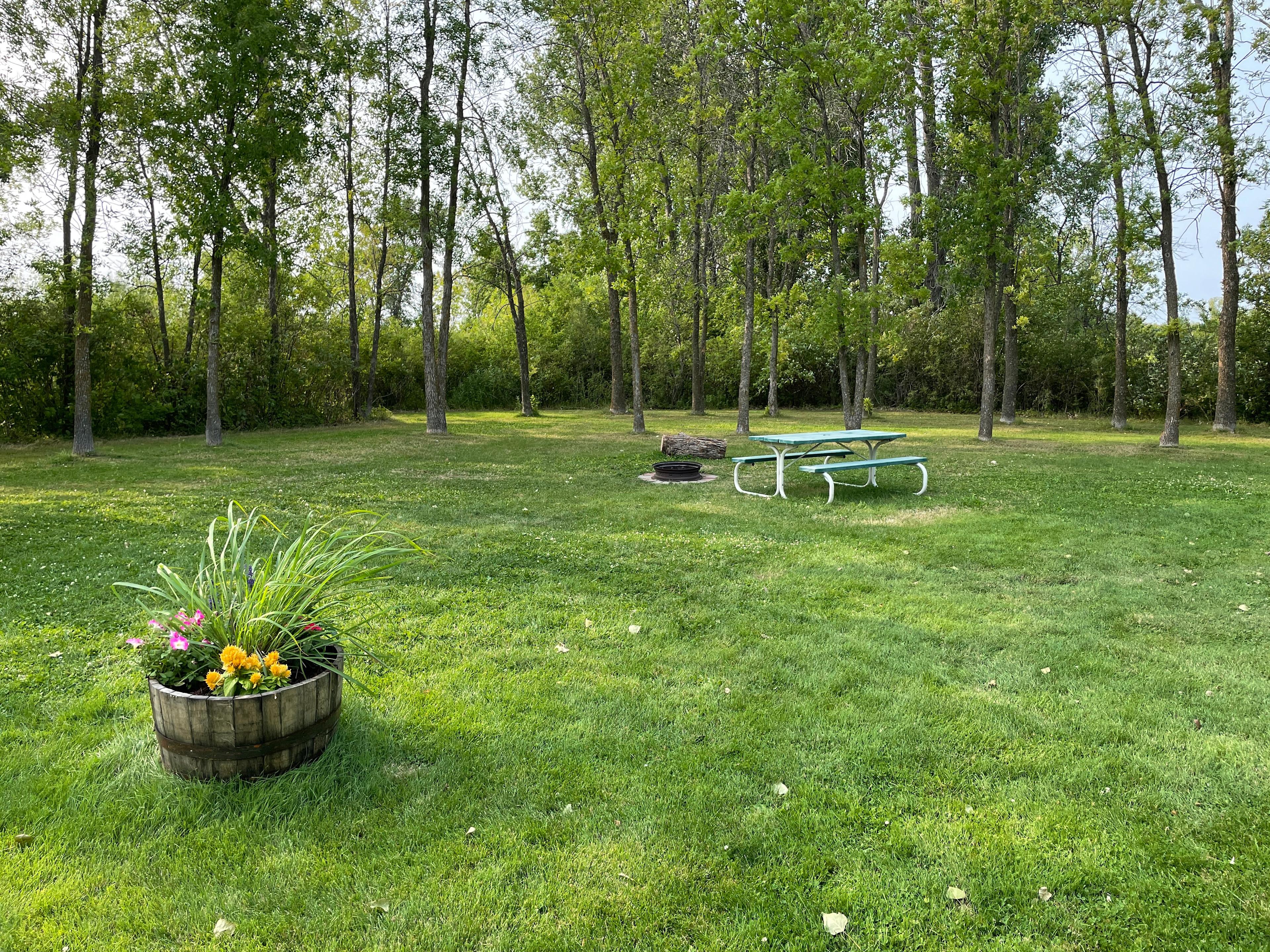 View of Grasslands 3 Primitive Tent Camping Site